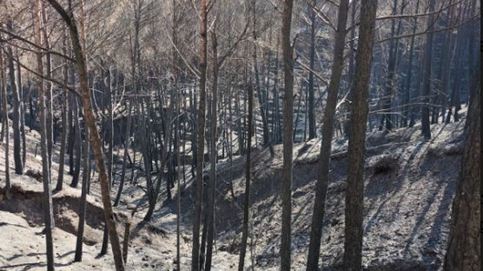 Imatge dels danys per l'incendi de Begís