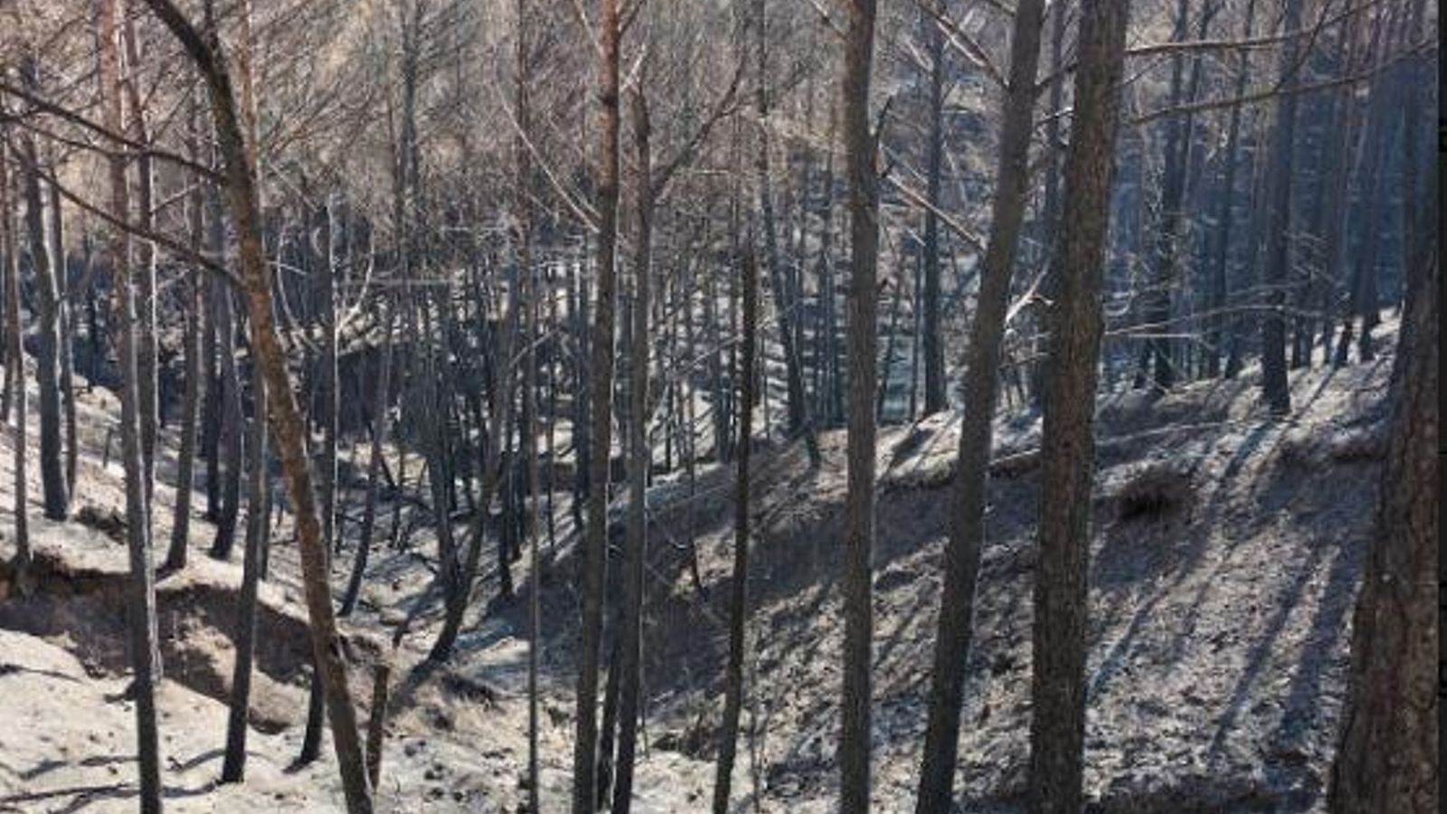 Imatge dels danys per l'incendi de Begís