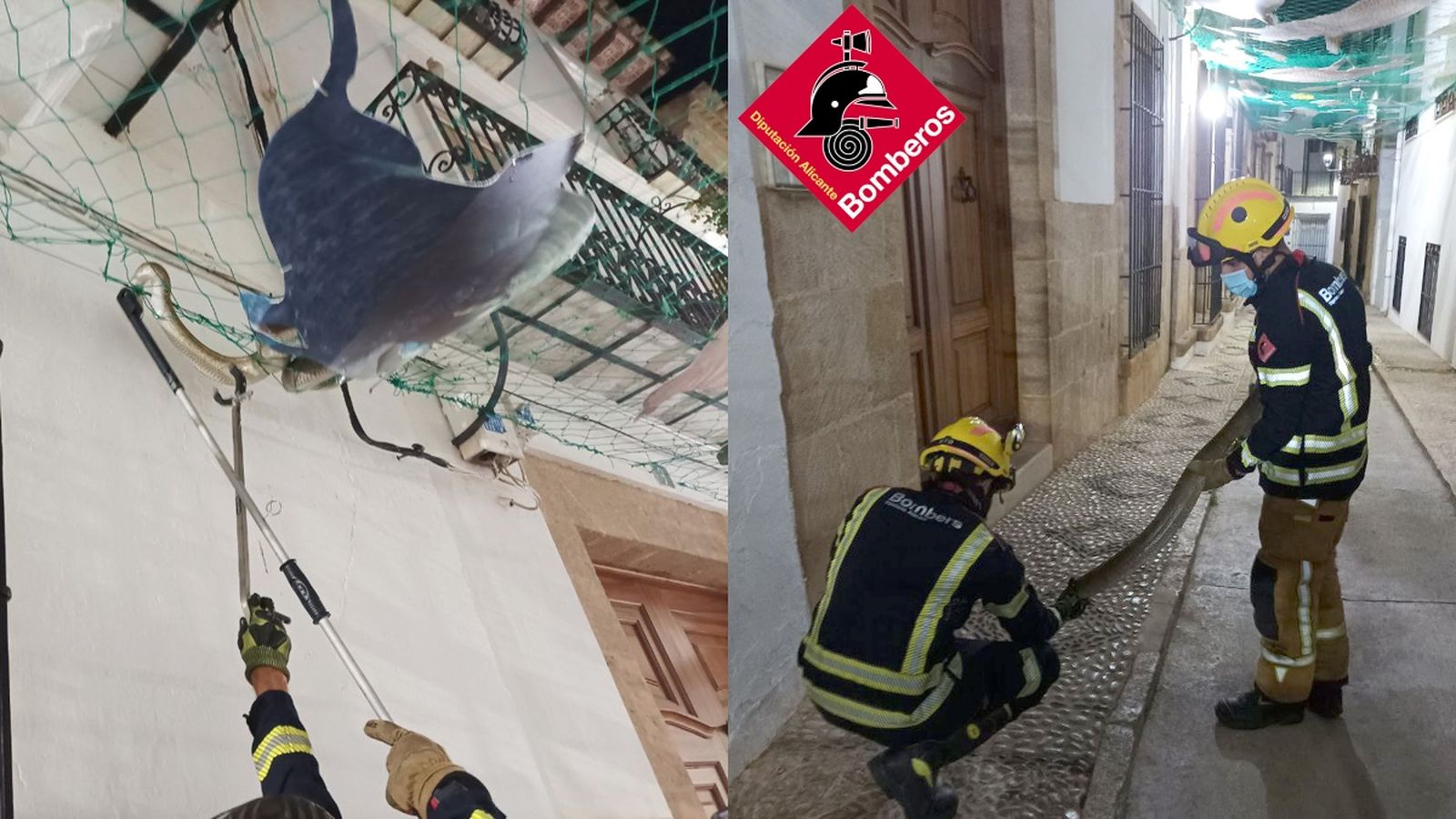 A la dreta, moment en que els bombers rescaten la serp amb l'ajuda d'un ganxo i a l'esquerre, quan van recuperar l'animal de la xarxa