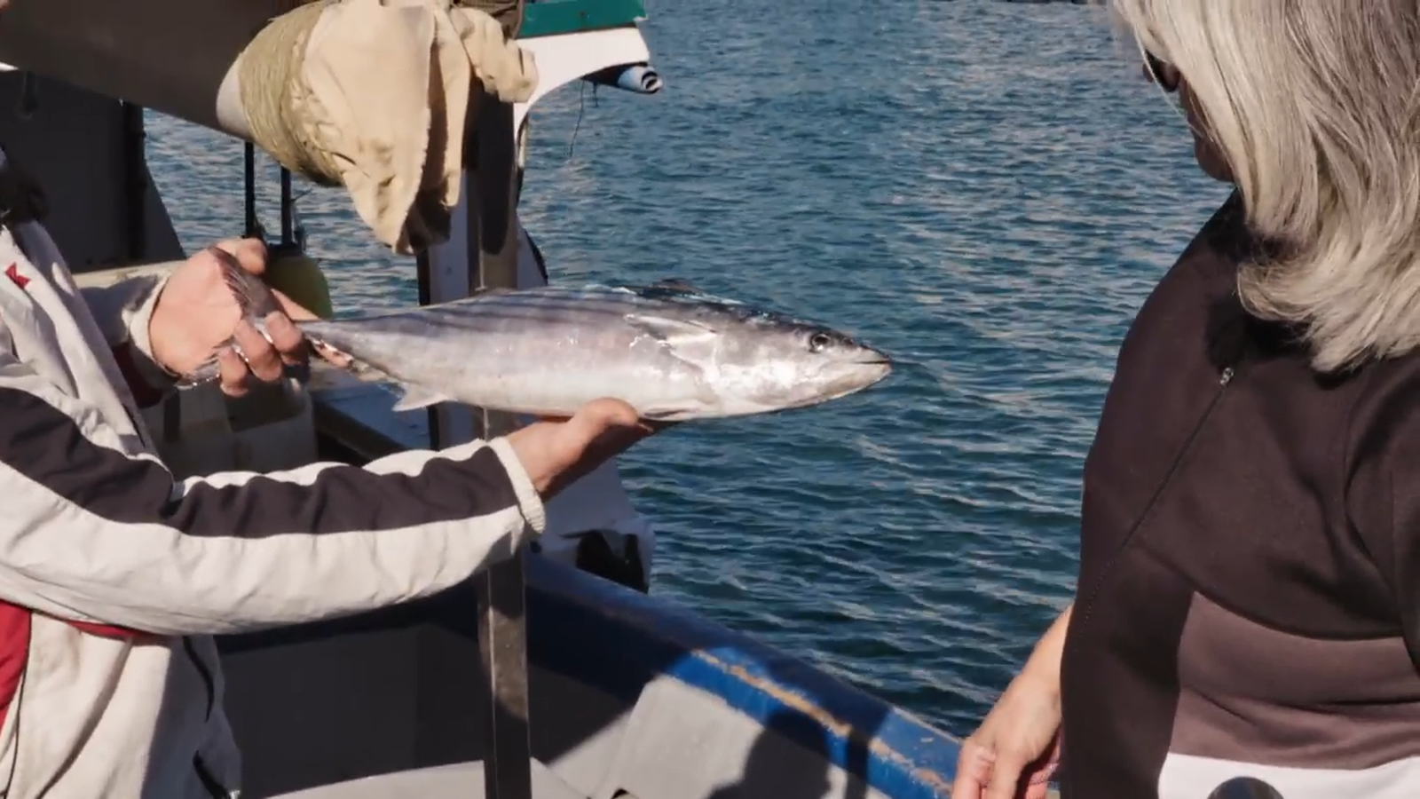 De mar i bancal | Alerta per sequera