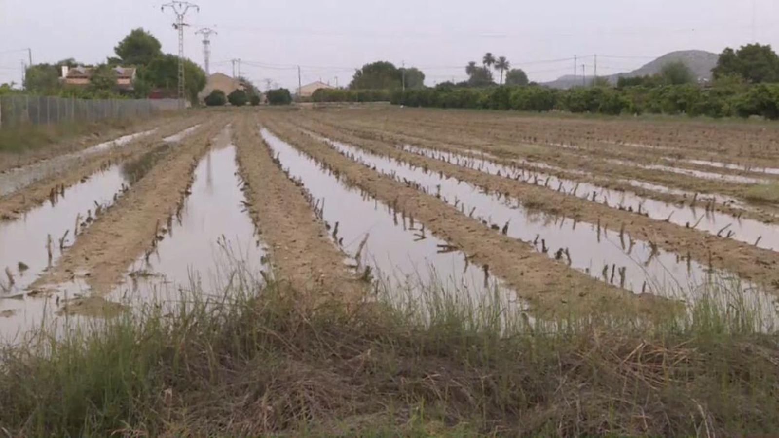 El sector agroalimentari és un del més afactats per la DANA