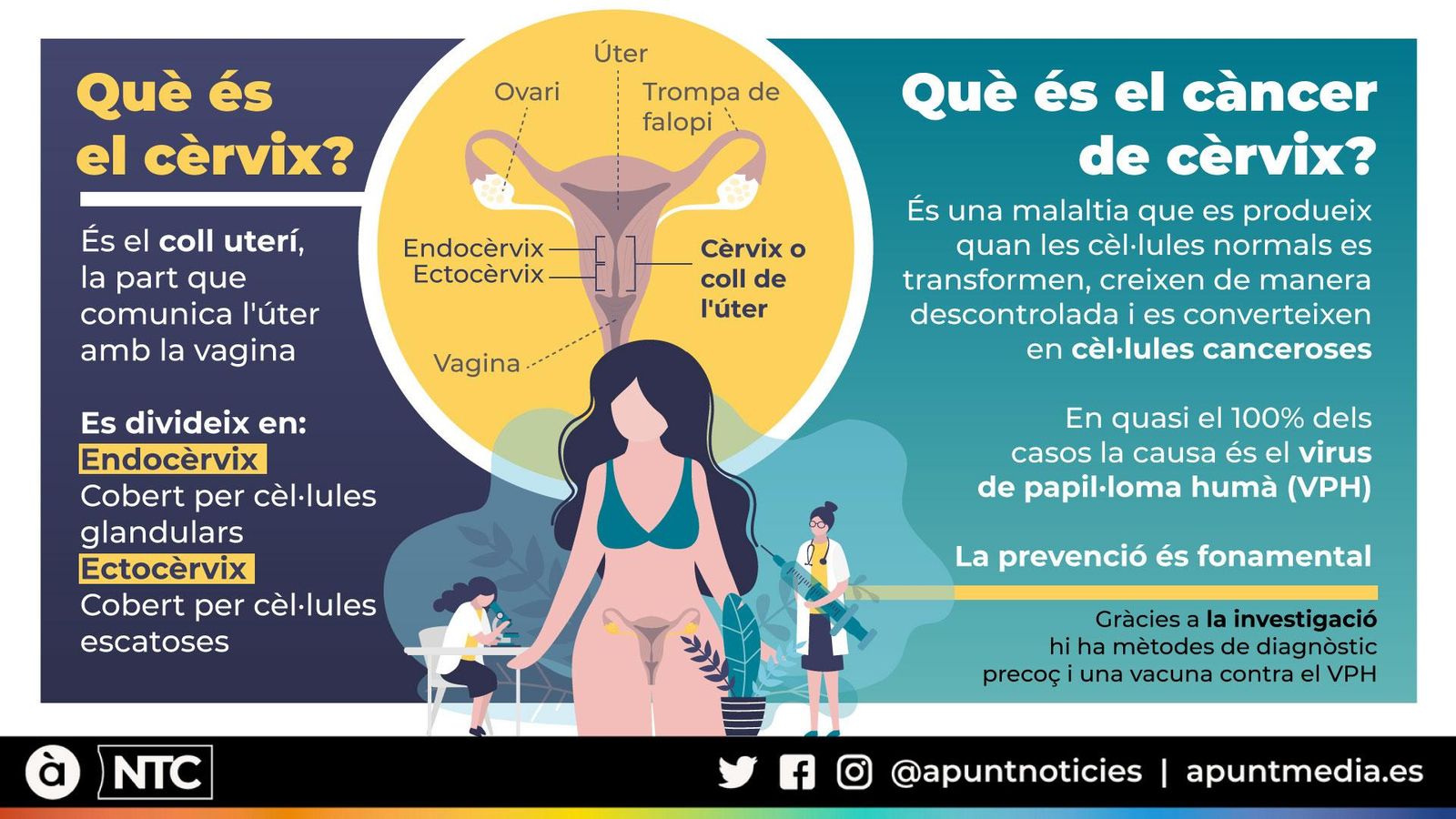 Què és el càncer de cèrvix?