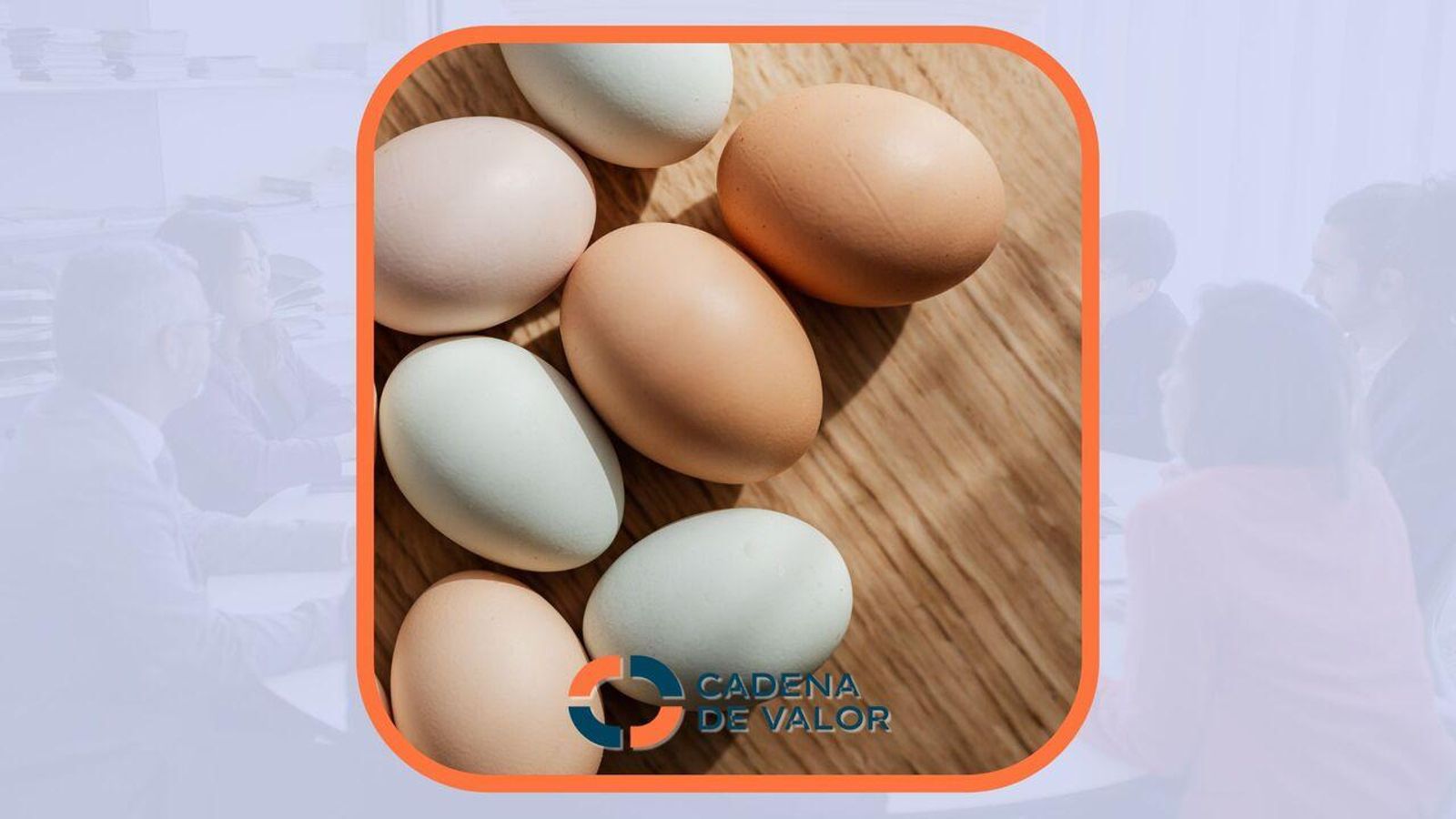 14.10.2025 | La grip aviària encareix els ous: com afecta al consumidor?