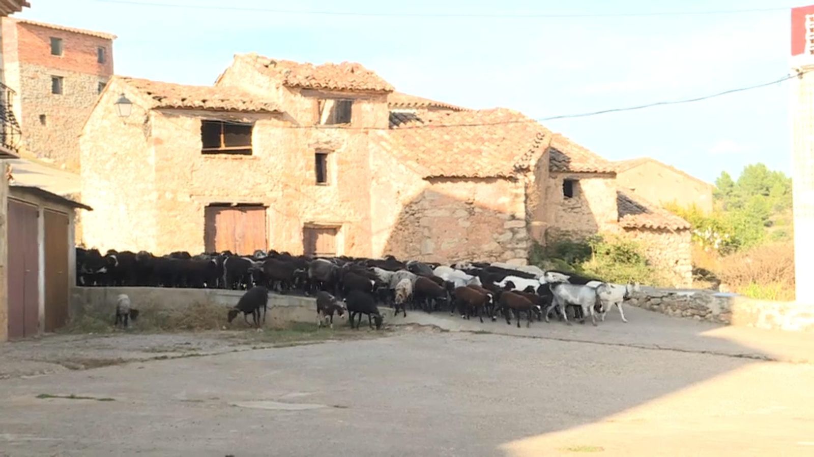 Carrer de Sucaina