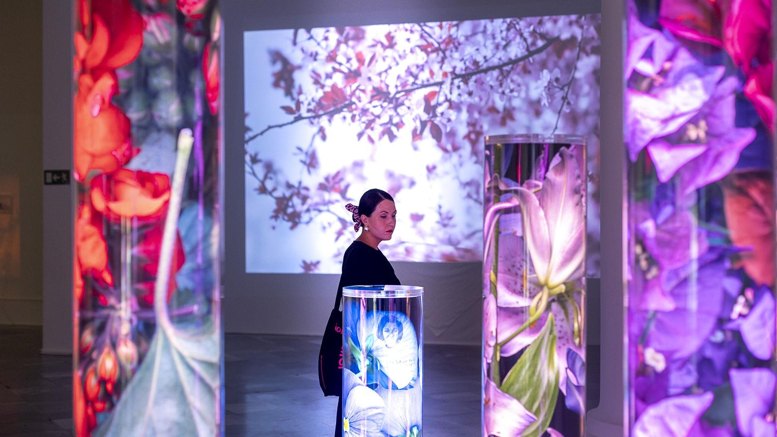 Imatge de l'exposició de "Lo resplandesciente"