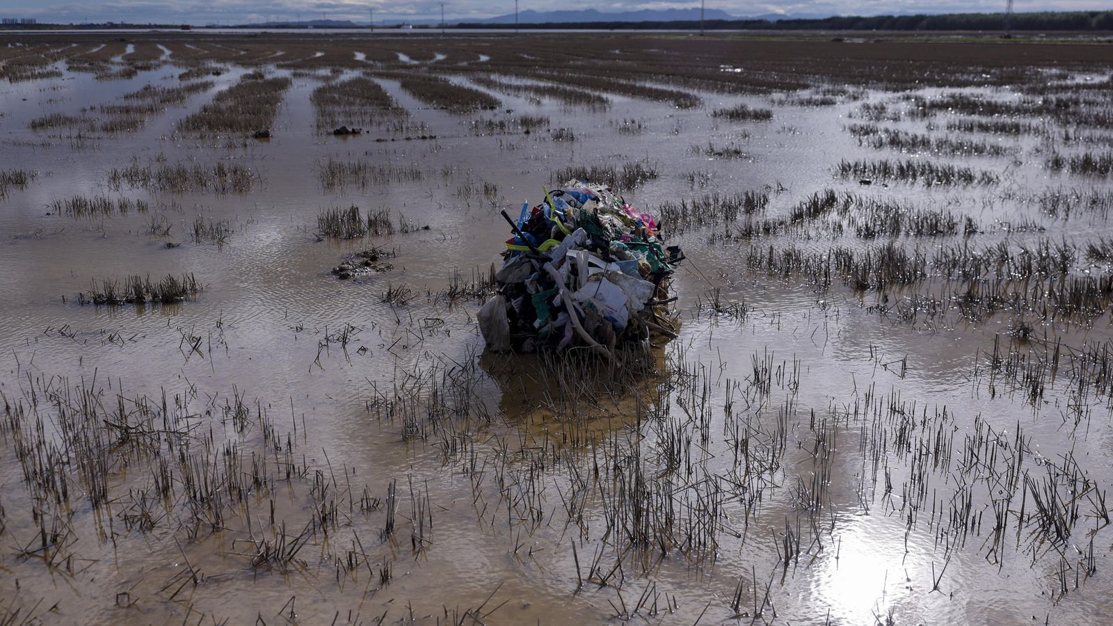 Tasques de neteja a l’Albufera després de la DANA