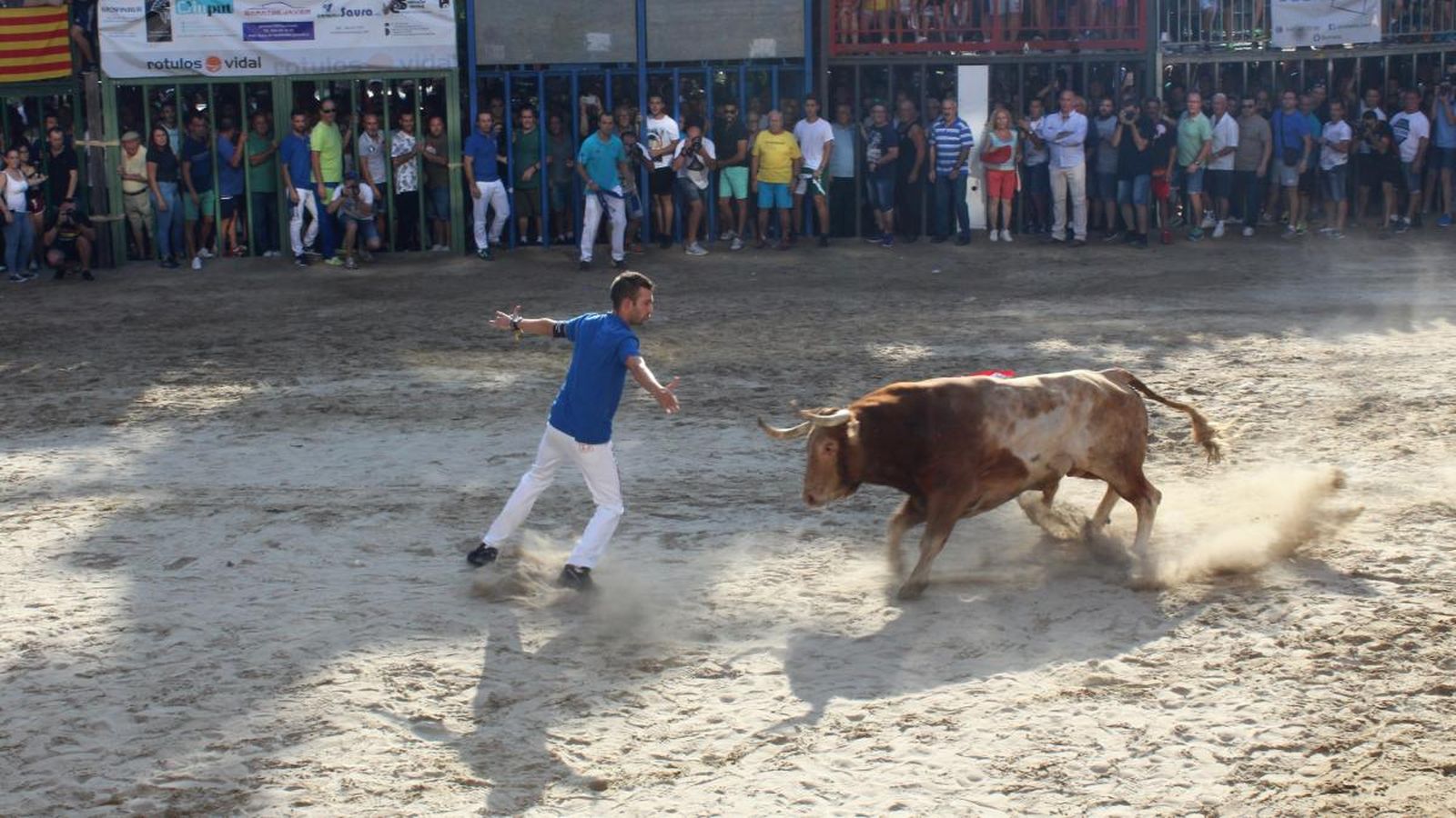 Un dels moments de l'exhibició taurina de la vesprada a Borriana