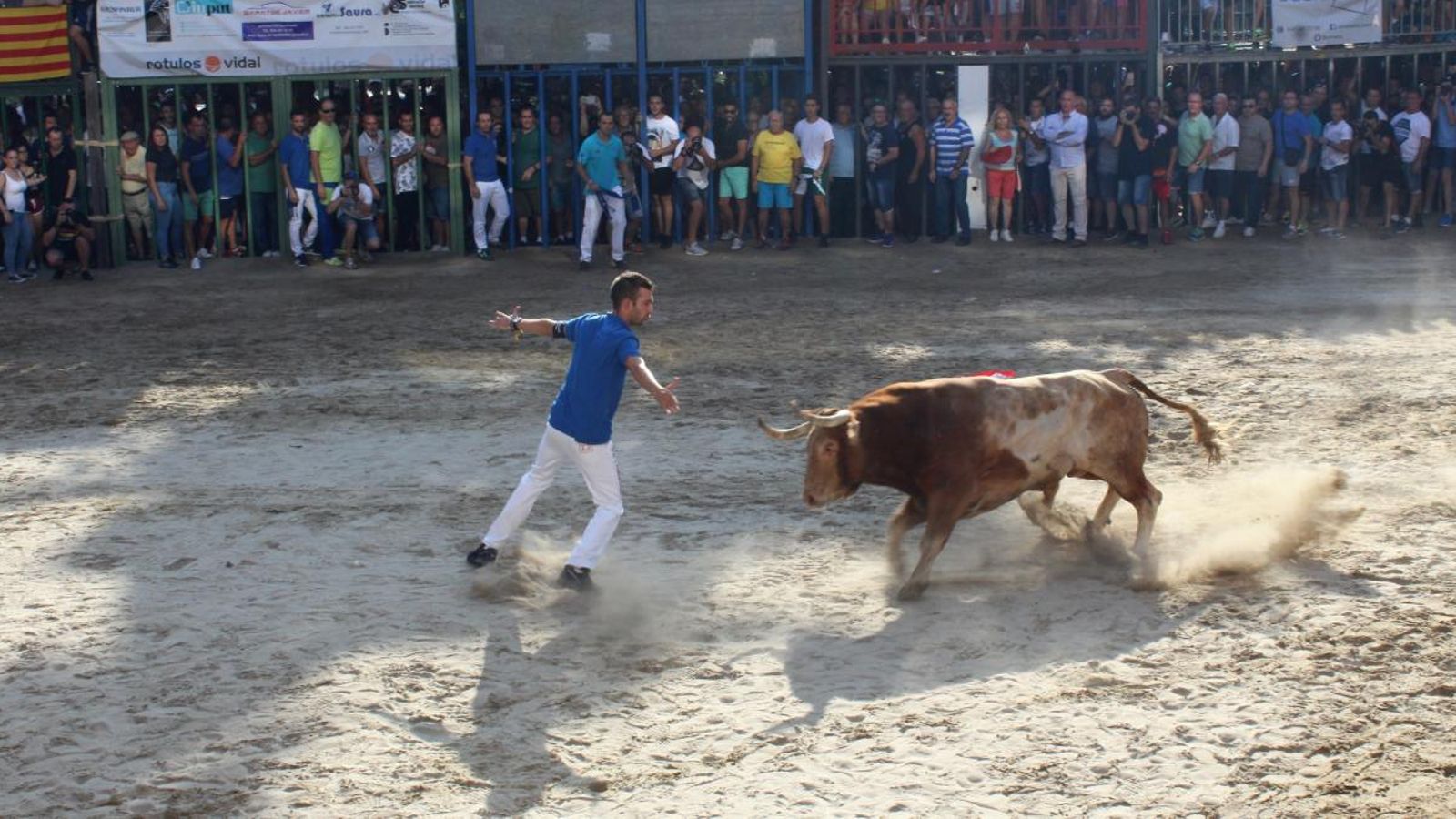 Un dels moments de l'exhibició taurina de la vesprada a Borriana