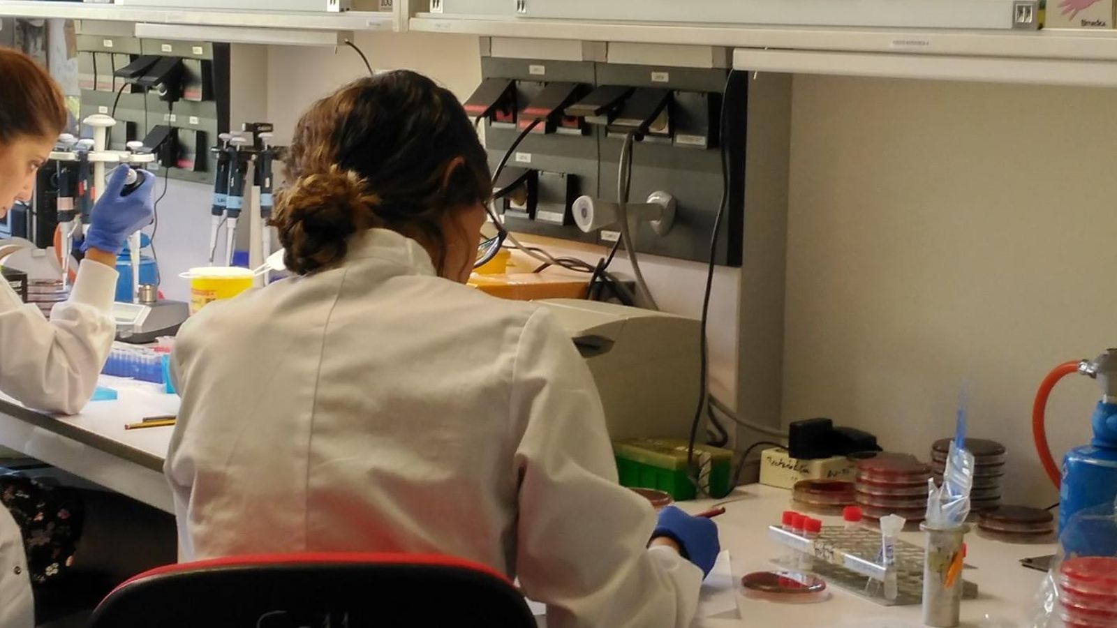 Imatge d'arxiu d'un equip de científiques treballant en l'Institut de Salut Carlos III