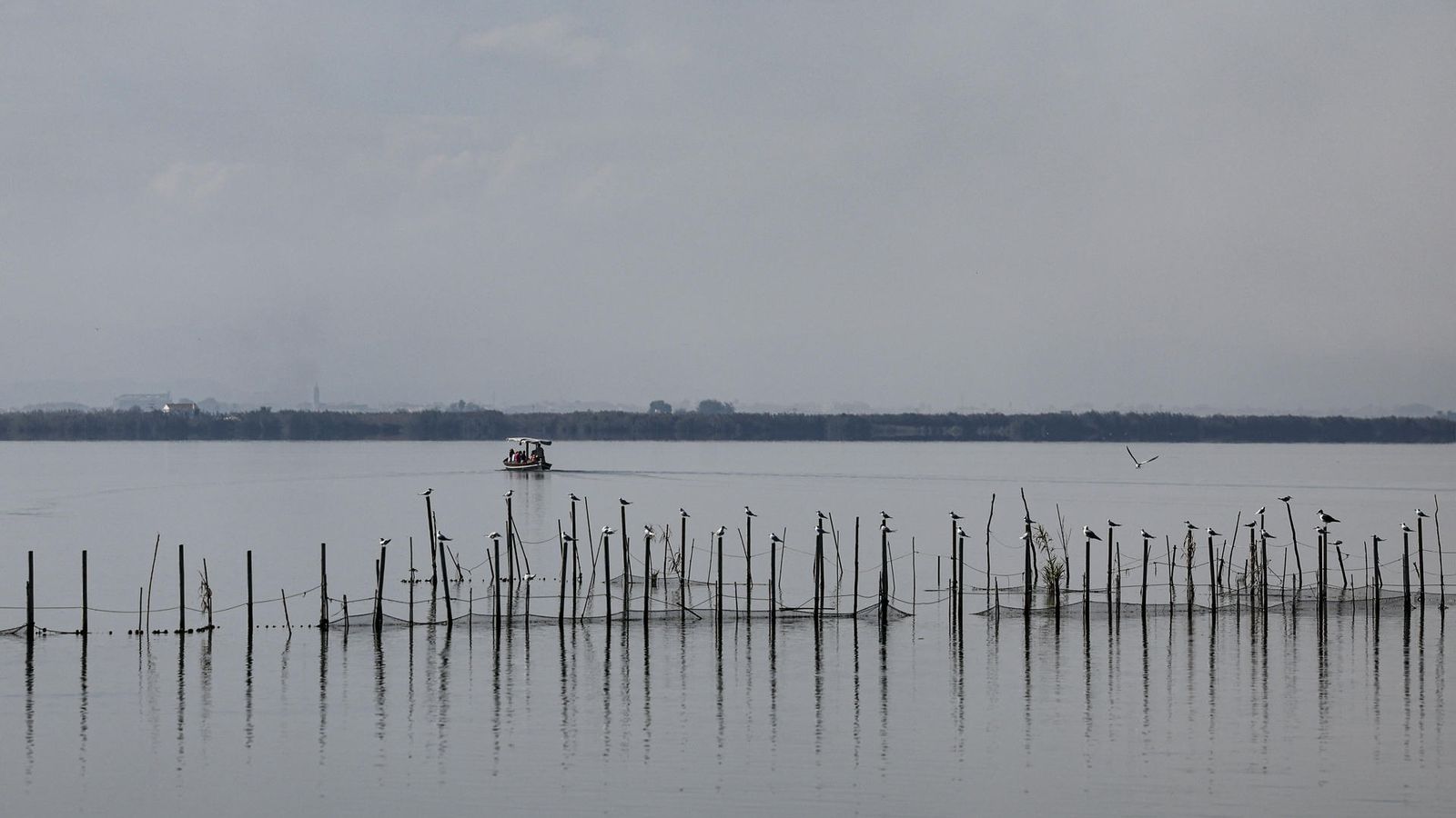 Imatge de l'Albufera dos anys després d'absorbir l'impacte de la dana de 2024