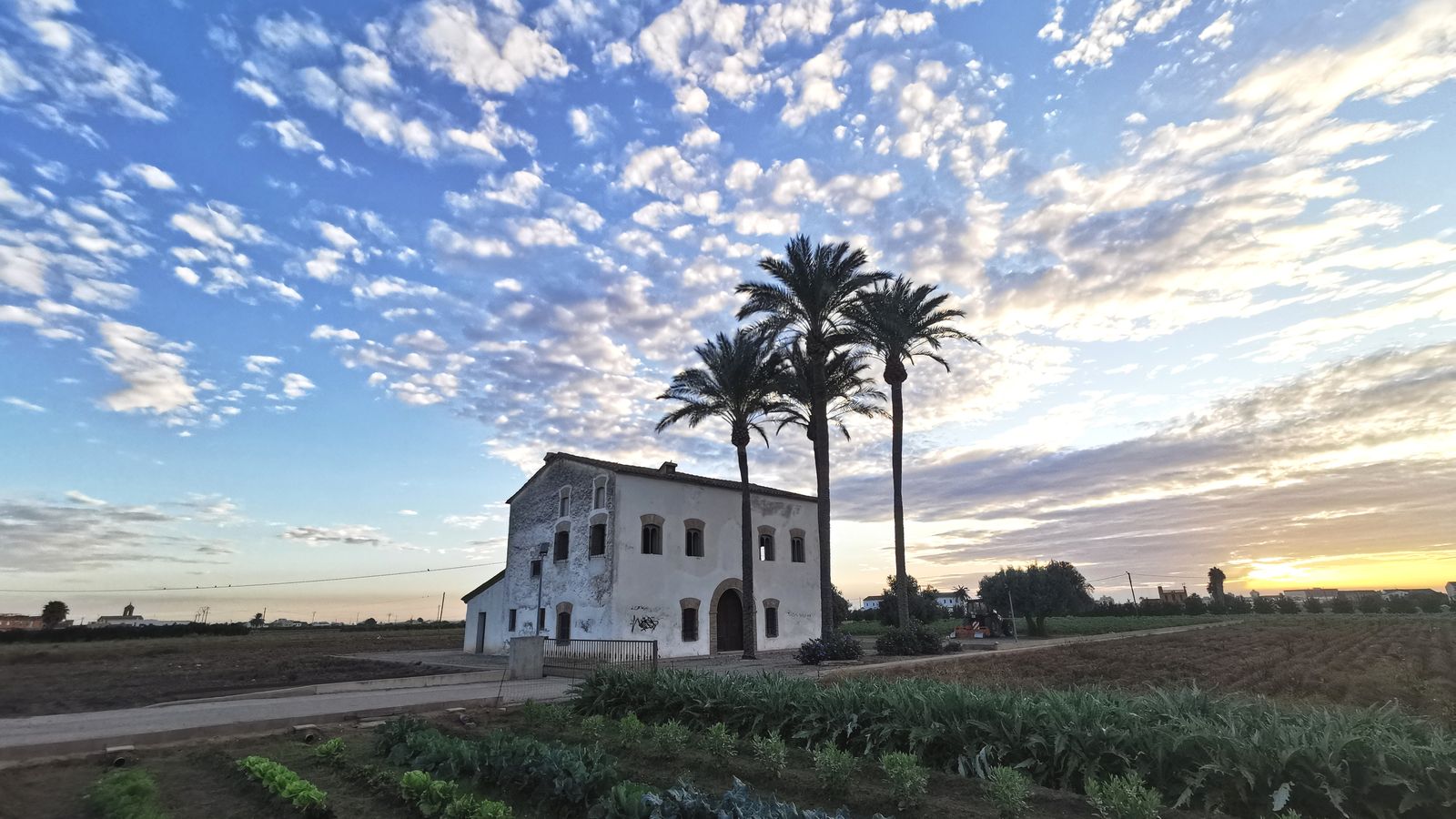 rhdrALMÀSSERA, L'HORTA NORD