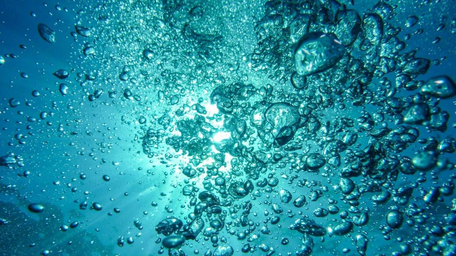Començar a tractar d'una forma diferent els ecosistemes aquàtics pareix que és un dels reptes necessaris.