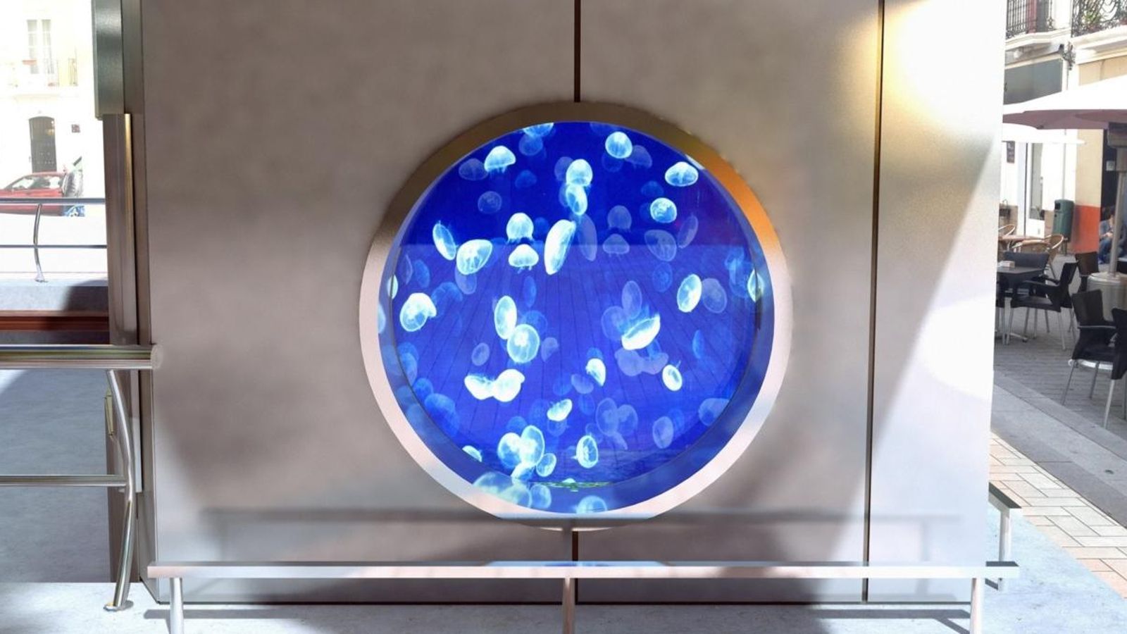 El motiu de la mort dels peixos ha sigut una nova fallada en els sistemes de refrigeració de l'aquari.