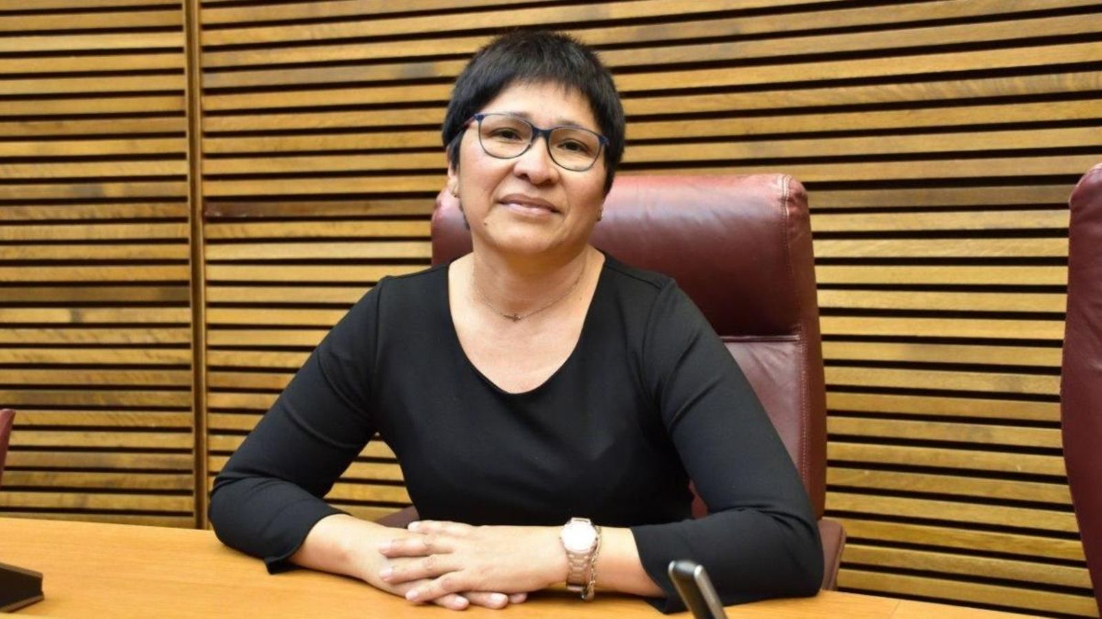 Irene Gómez, portaveu de Sanitat del Grup Parlamentari Unides Podem