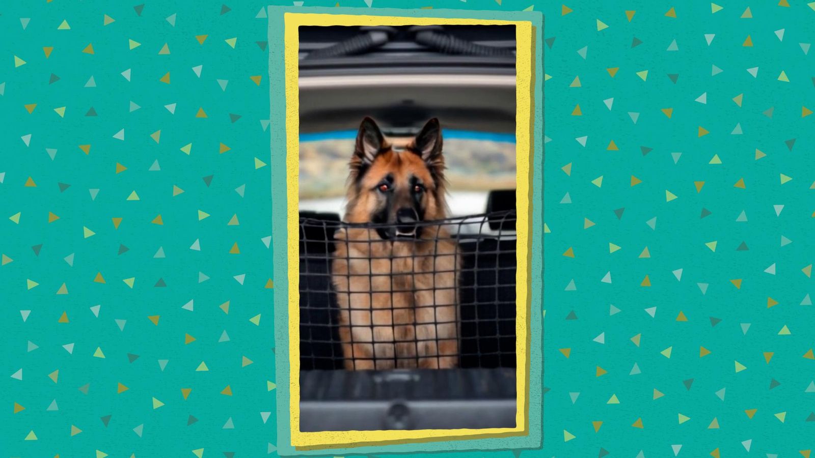 La Colla viral - La Panderola