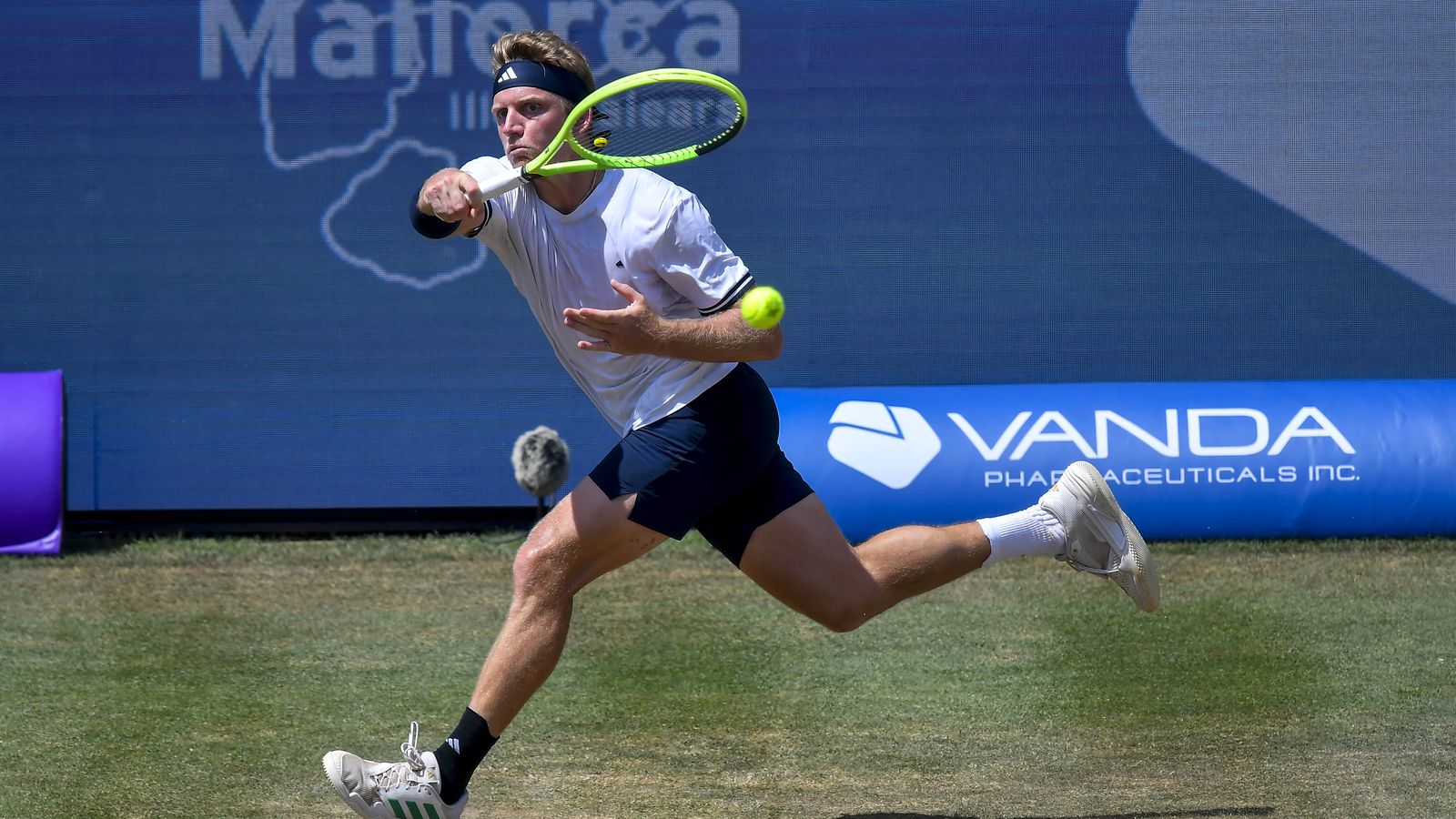 Davidovich, en la final del torneig de Mallorca