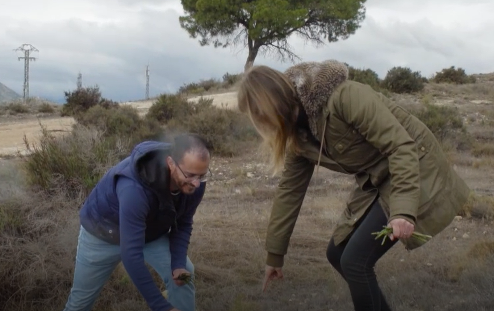 La terra com a rebost: els espàrrecs