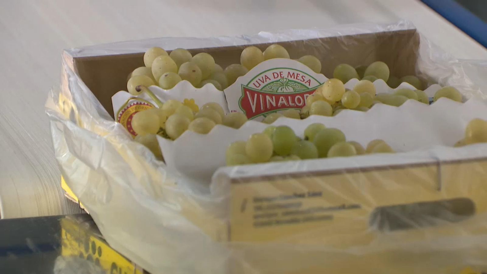 Comença a recollir-se el raïm per a Nadal