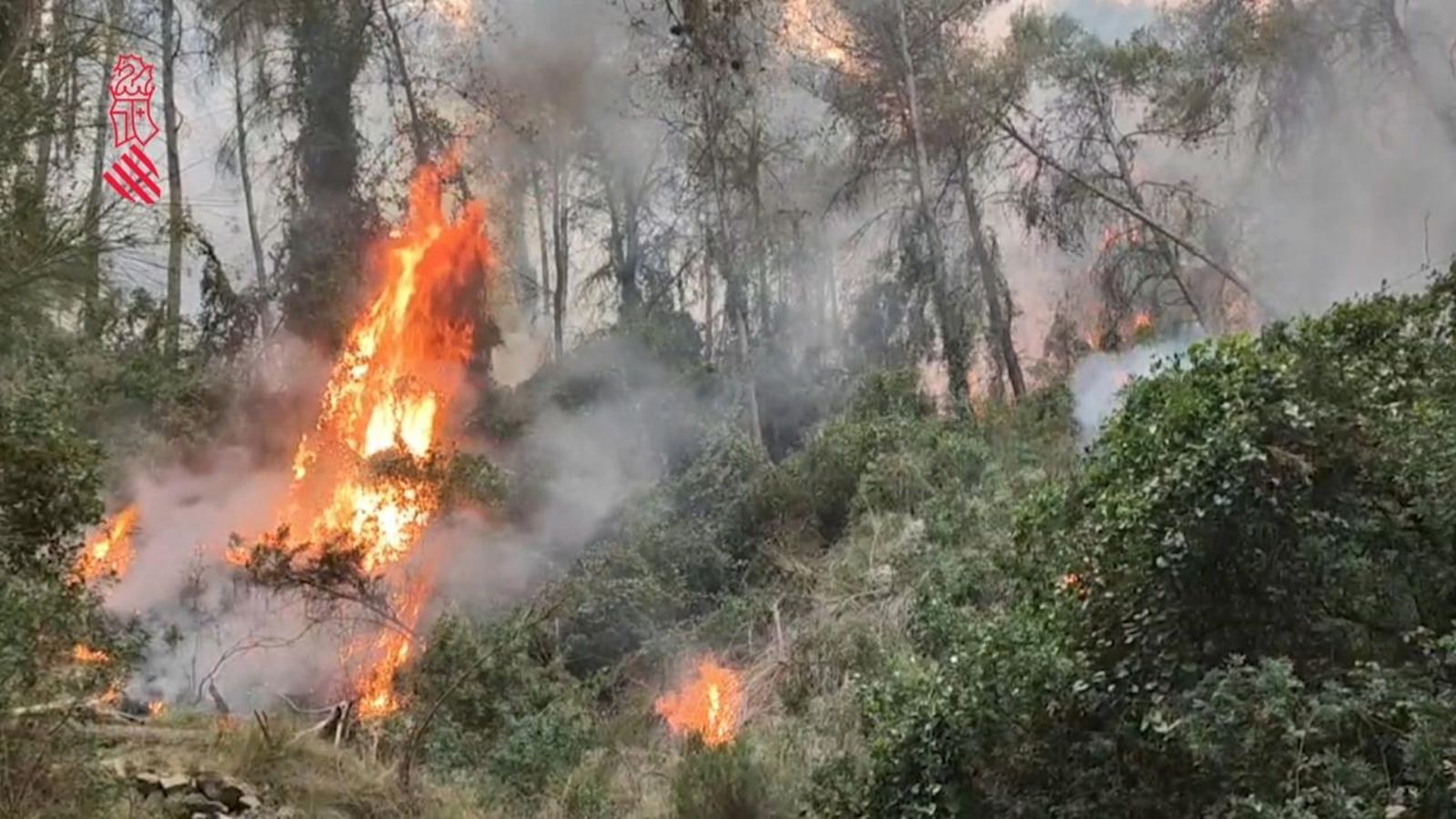 L'incendi de març a Vilanova de Viver (Alt Millars)