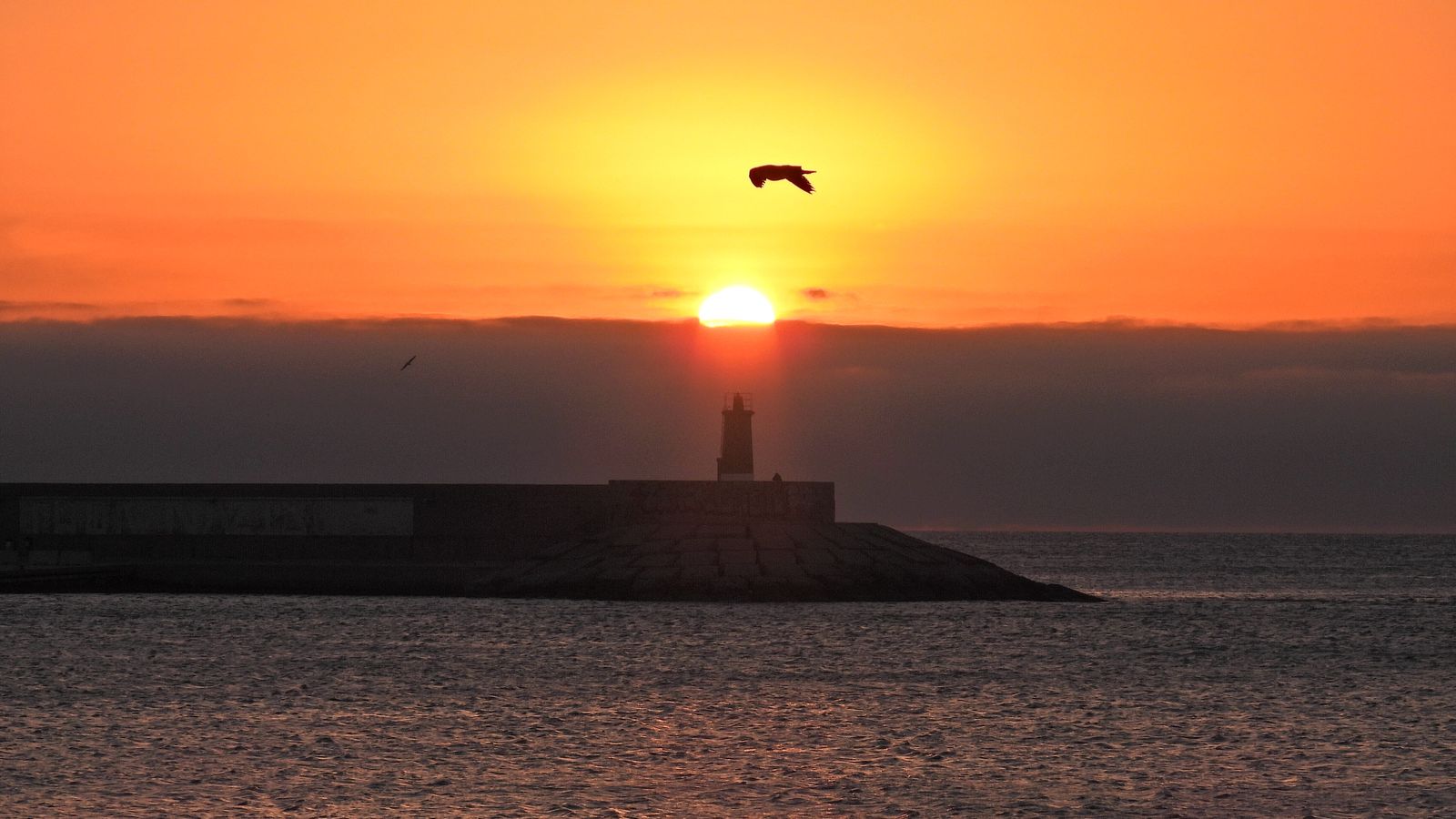 QUICO LLOBELL, Xàbia, la Marina Alta