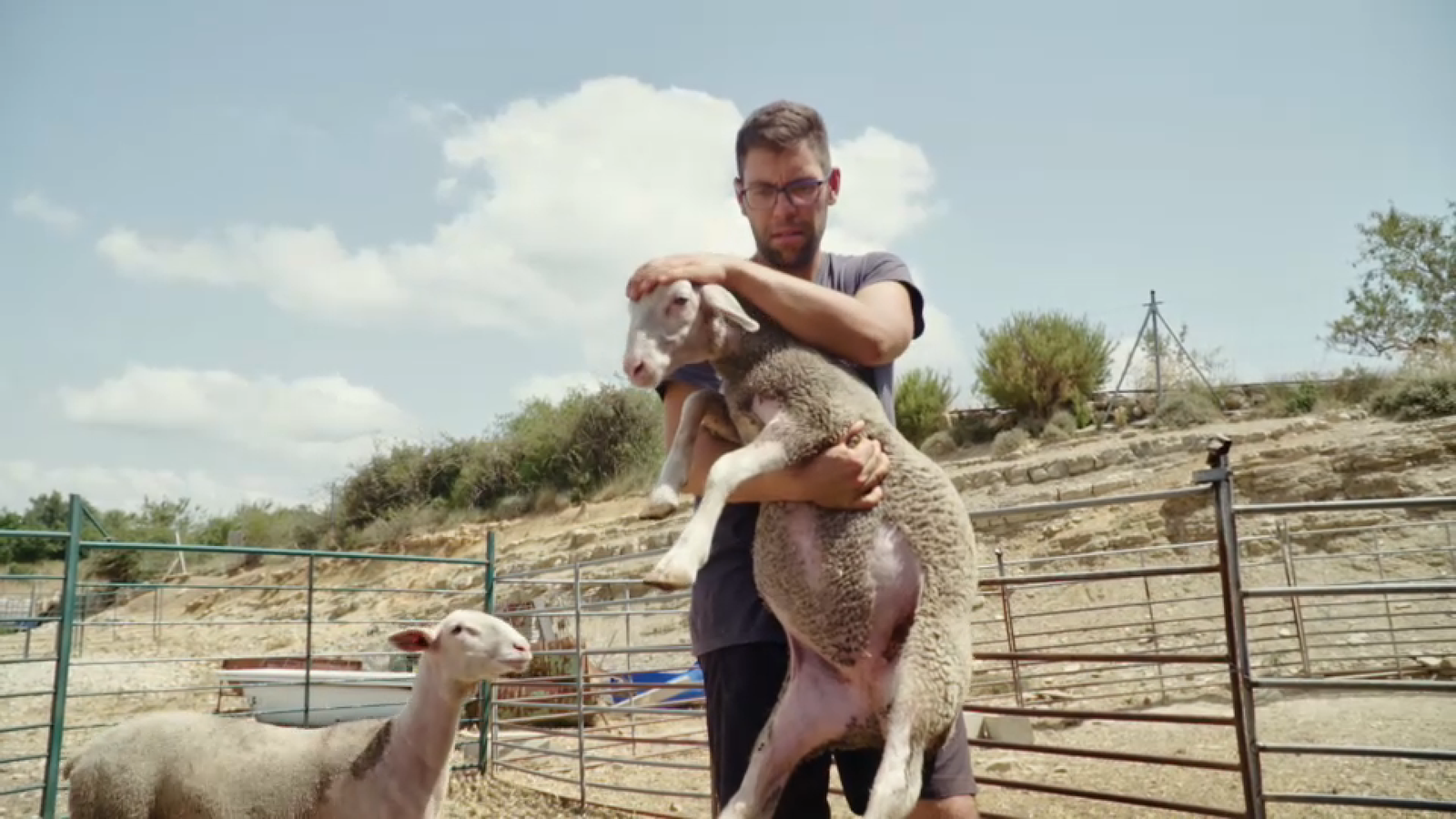 Jordi acaricia una de les seues ovelles