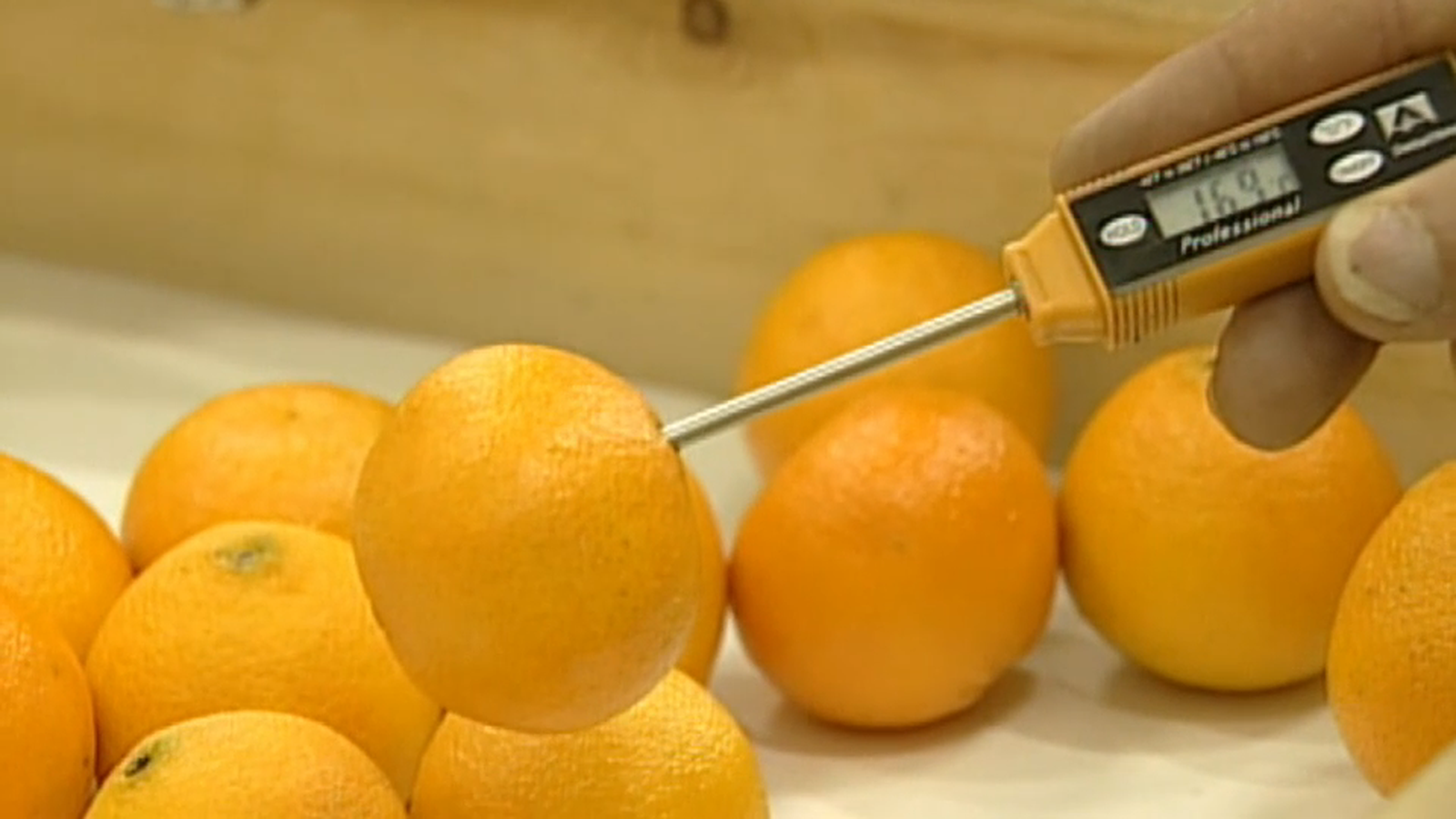 Tractament en fred a les importacions de taronja sud-africana