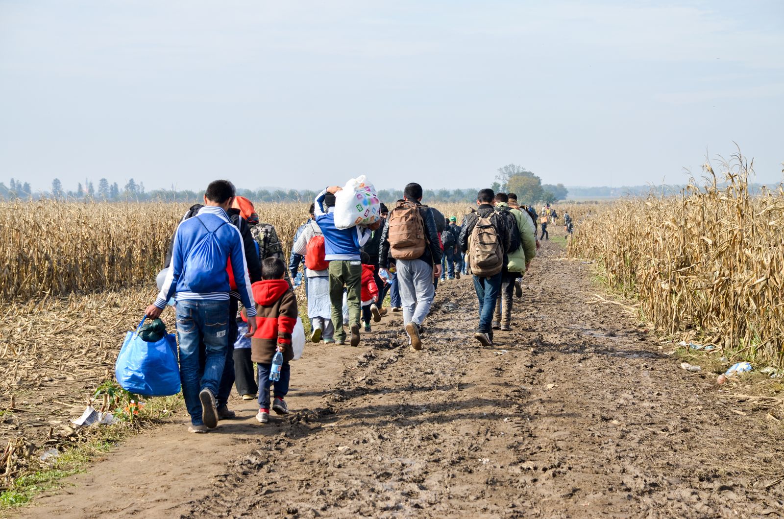 17.06.2022 | Els entrebancs administratius per a les peticions d'asil de les persones refugiades