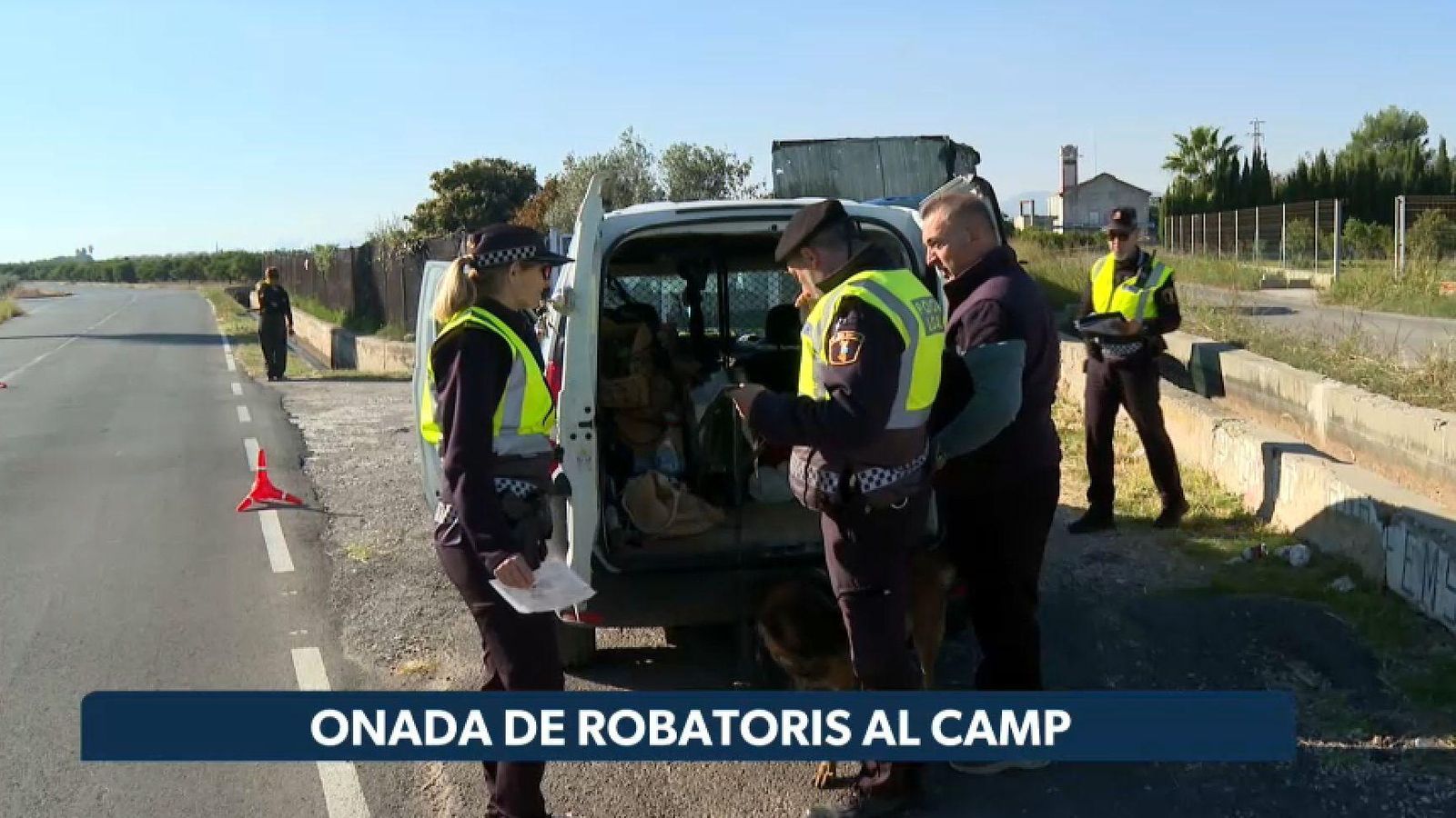Preocupació al camp perquè continuen els robatoris de cítrics