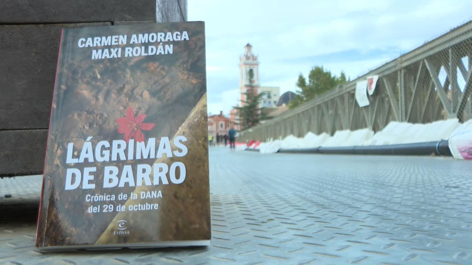 'Lágrimas de barro', el llibre que signen Carmen Amoraga i Maxi Roldán que relata els fets de la dana