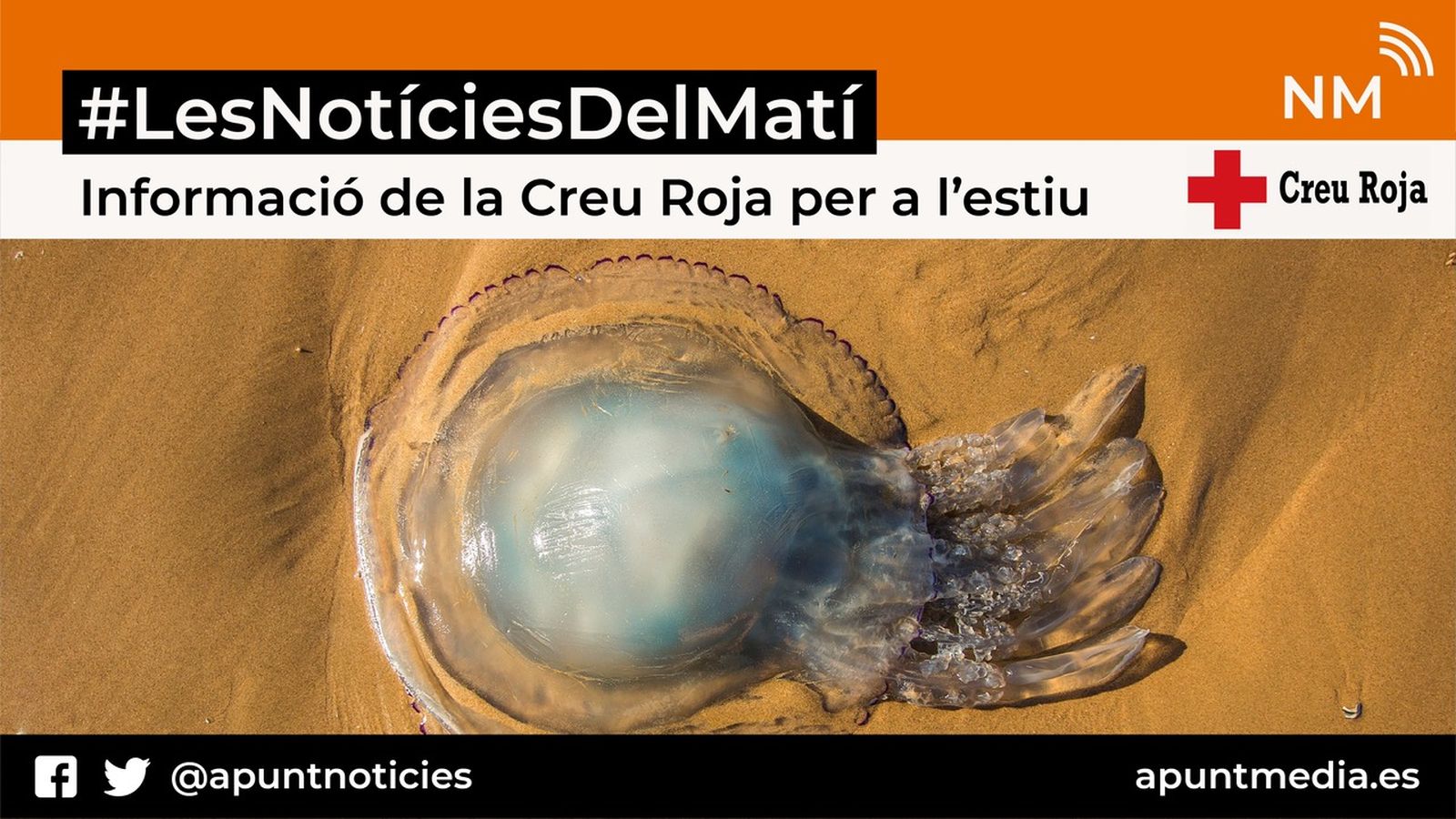 27.07.2018 | Informació de la Creu Roja per a l'estiu