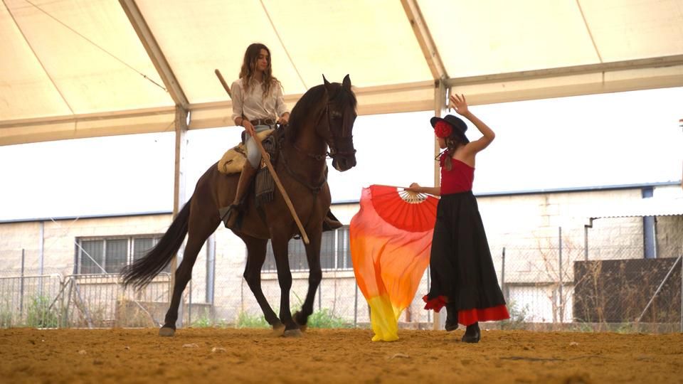 Exhibició de doma a Xàtiva