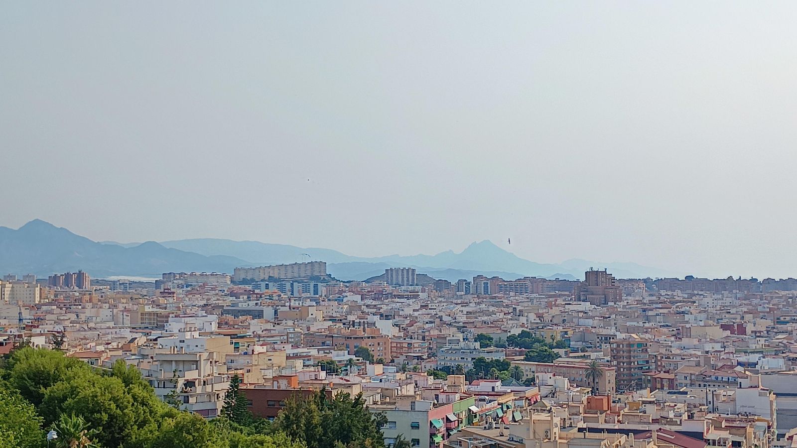 ALACANT, CARLOS AMOR