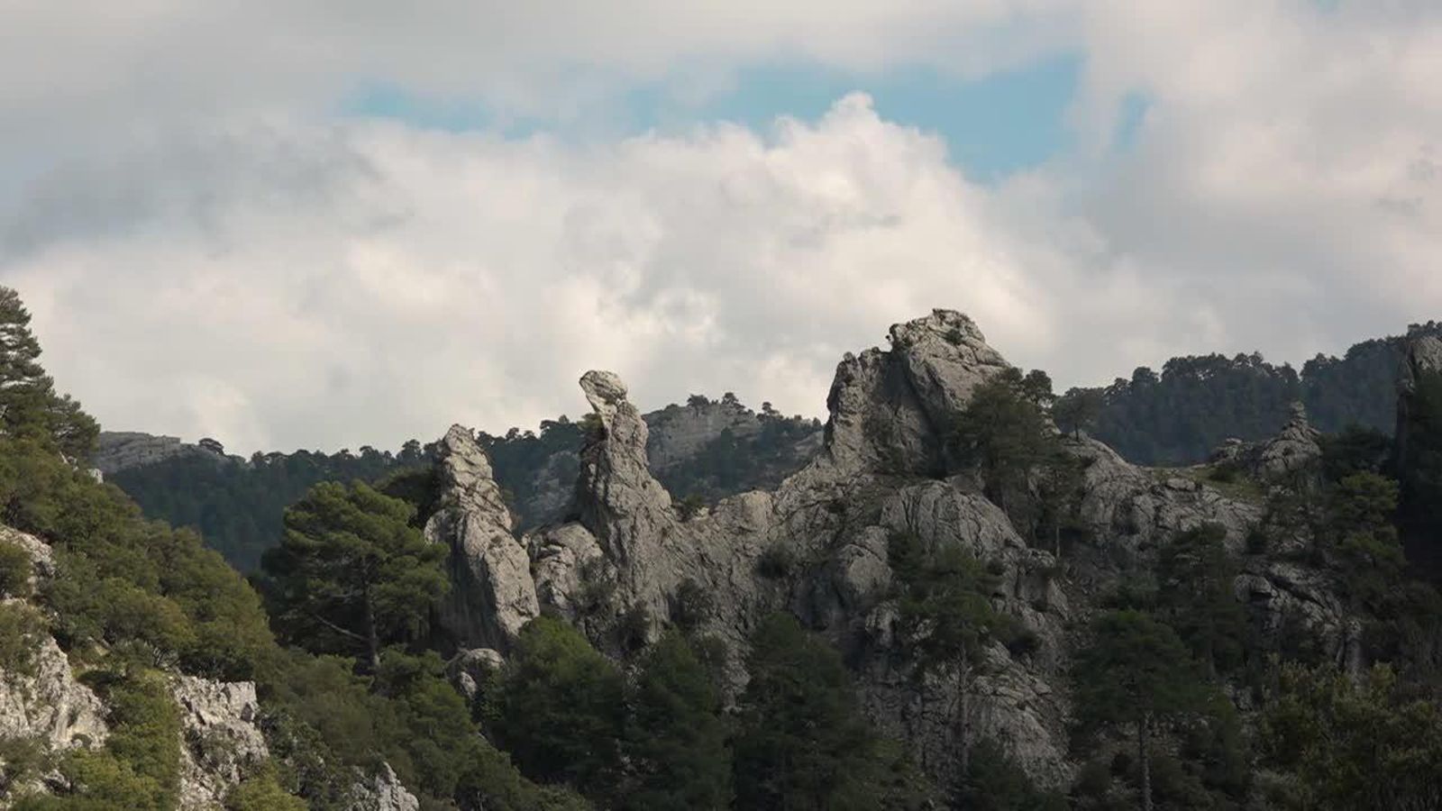 09.08.2018 | El trencalòs torna a casa