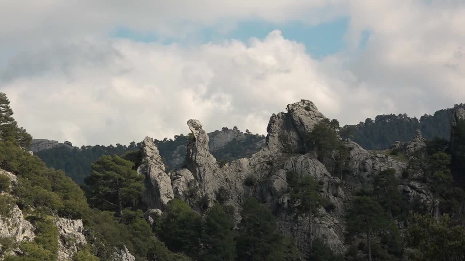 09.08.2018 | El trencalòs torna a casa