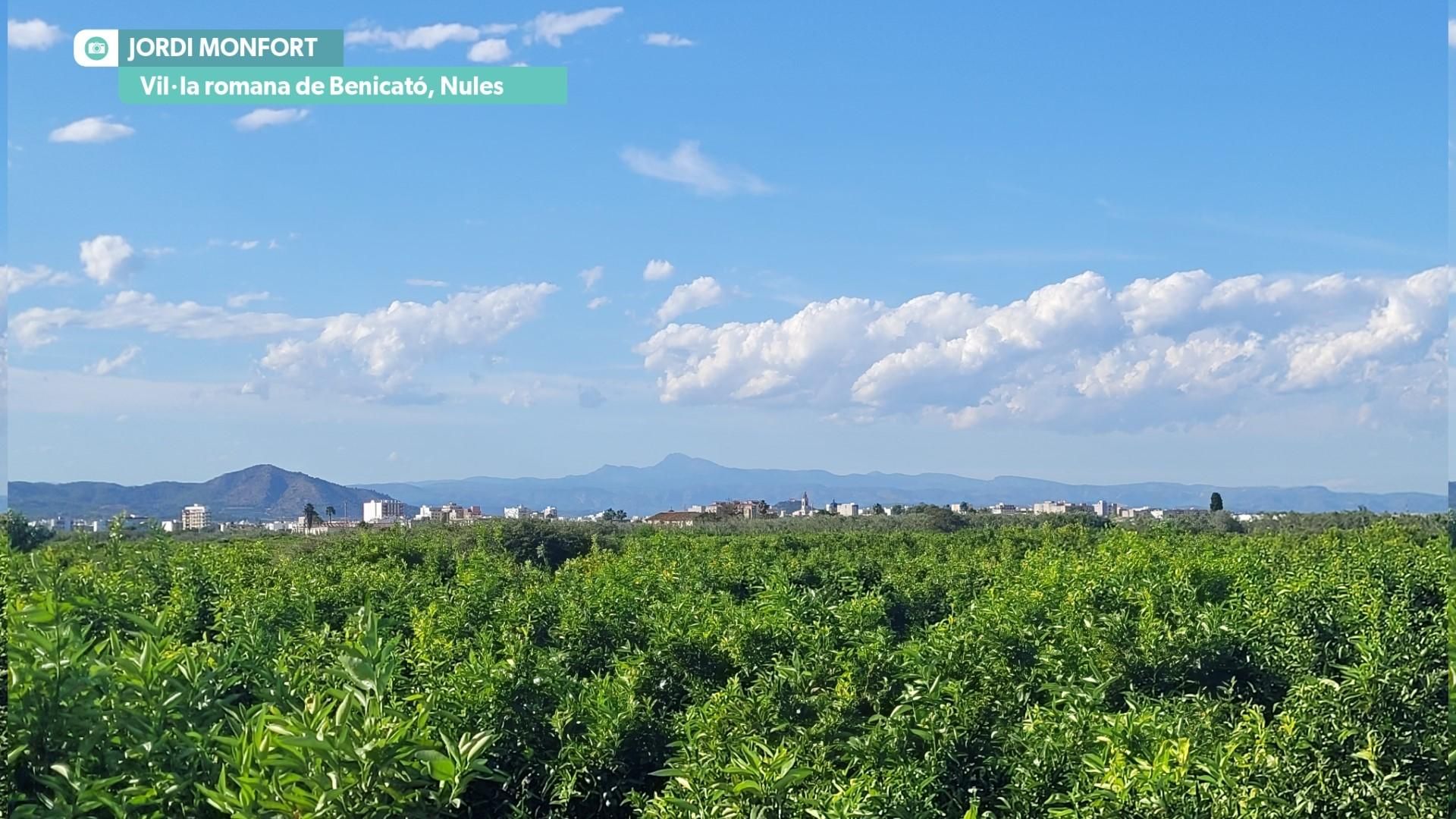 Vista de Nules amb el cel ras Vista de Nules amb el cel buit