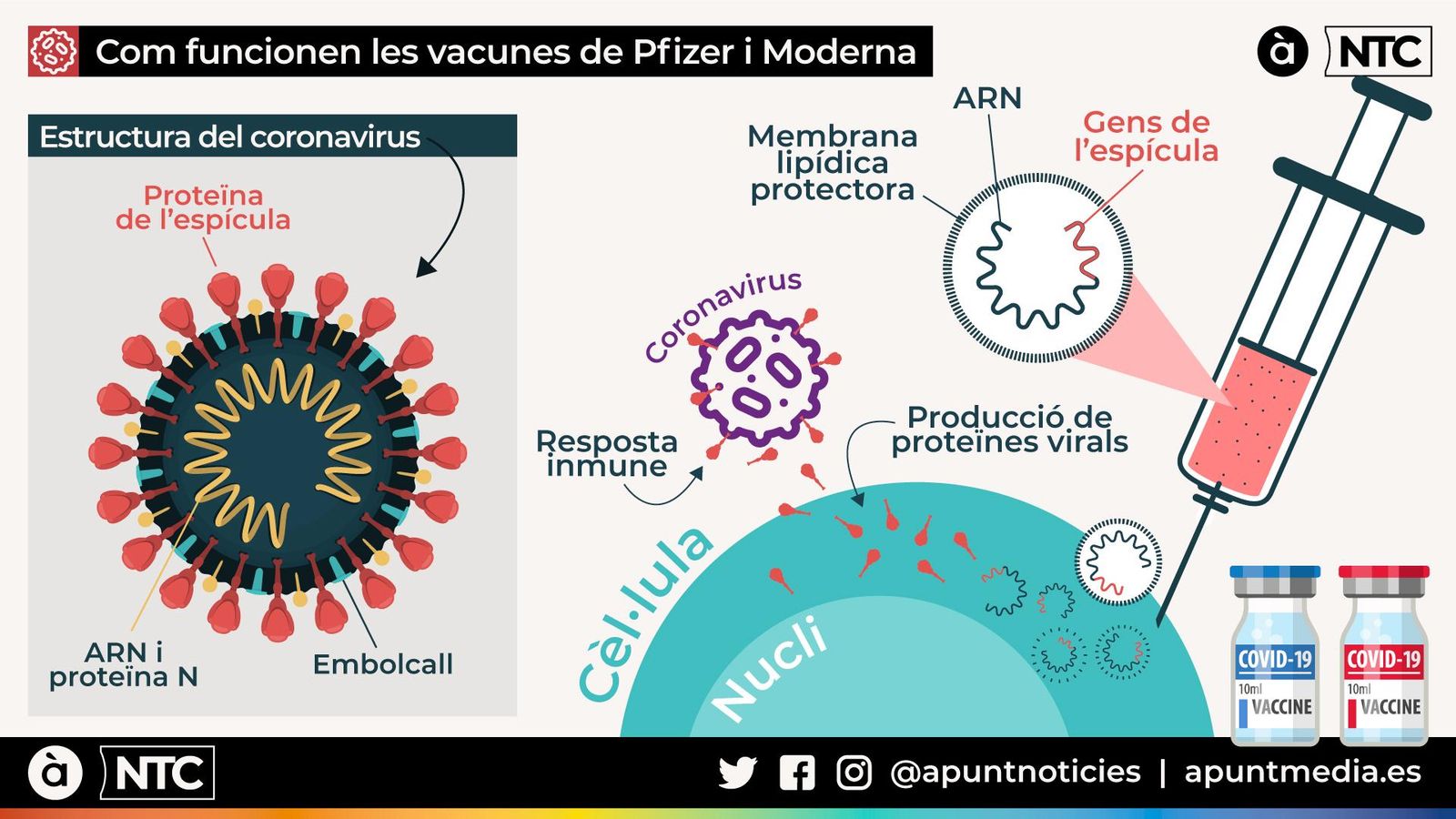 Per què les vacunes de Pfizer i Moderna són científicament revolucionàries?