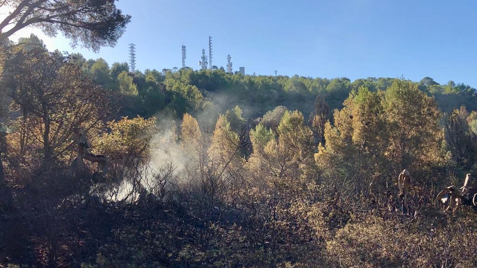 La zona forestal cremada a Puçol, aquest dilluns