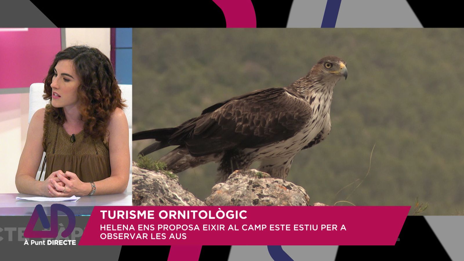 Turisme ornitològic