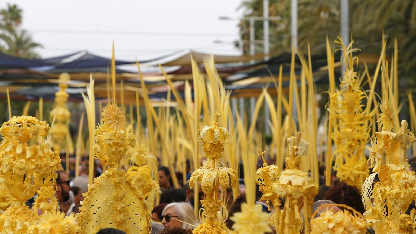A les 11:00 hores en À Punt, disfruta de l'antiquíssima processó de les Palmes d'Elx amb el seu 'pas de la Burreta'