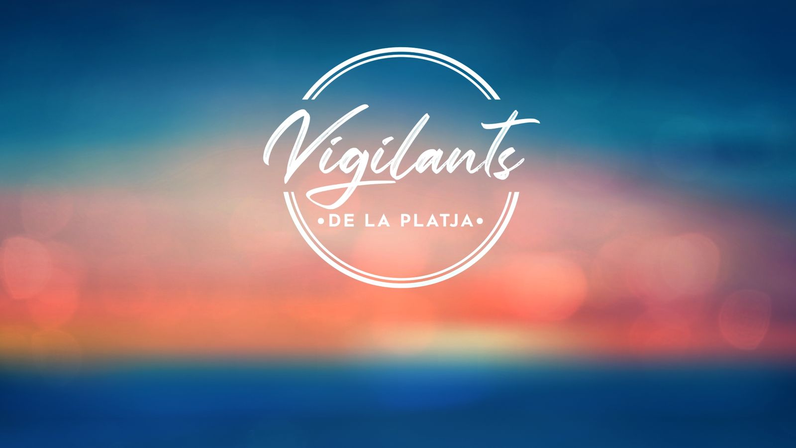 IMAGEN VIGILANTS MINIATURA 12.1.1