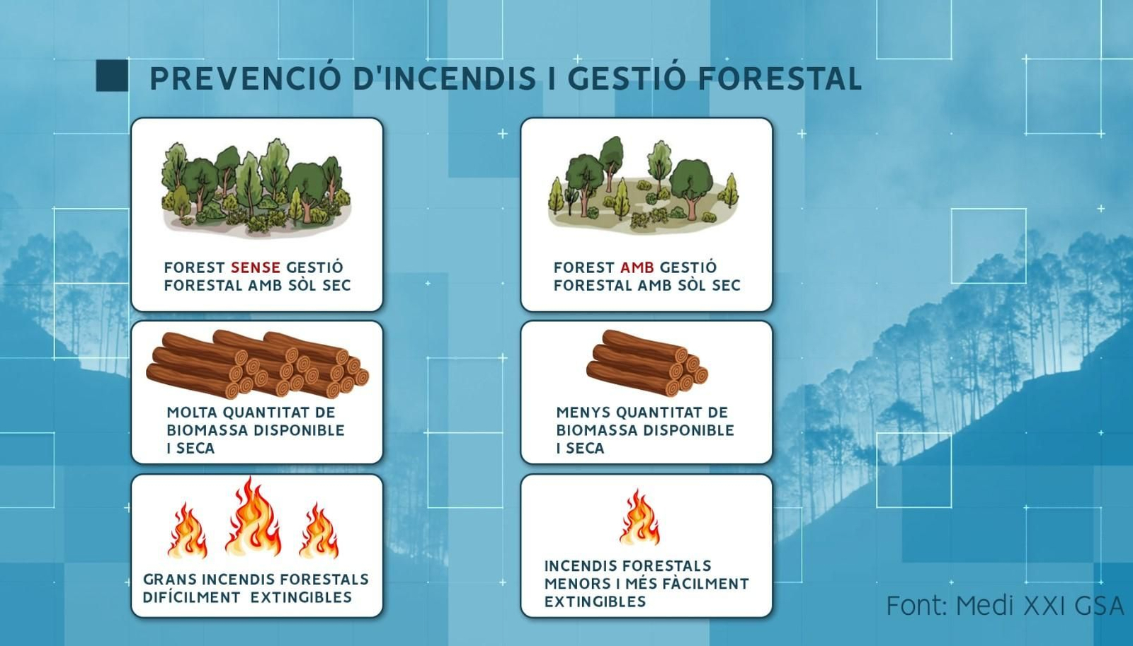 Prevenció d'incendis i gestió forestal