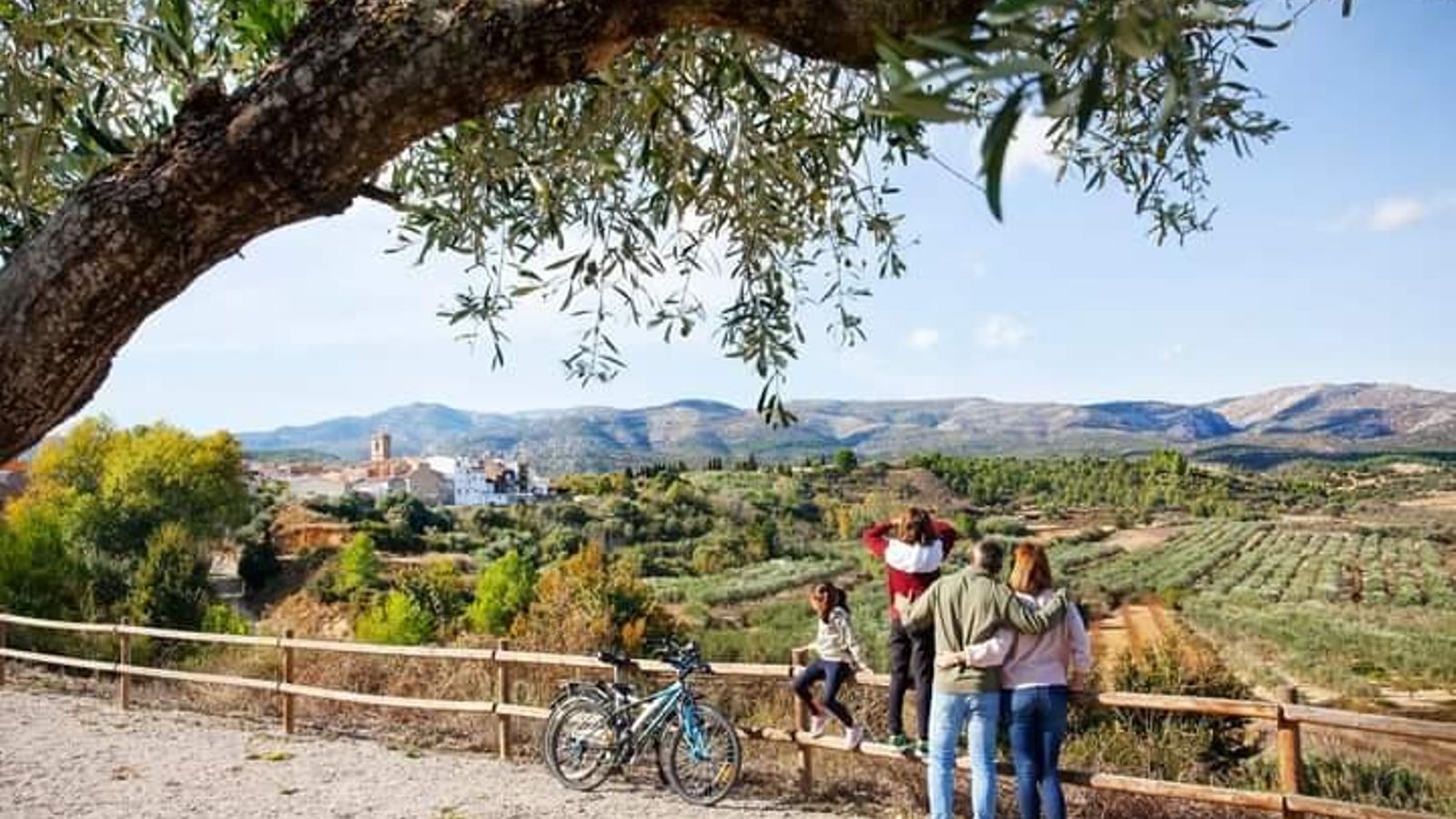 Vista de Torre d'En Domenec des dels camp.