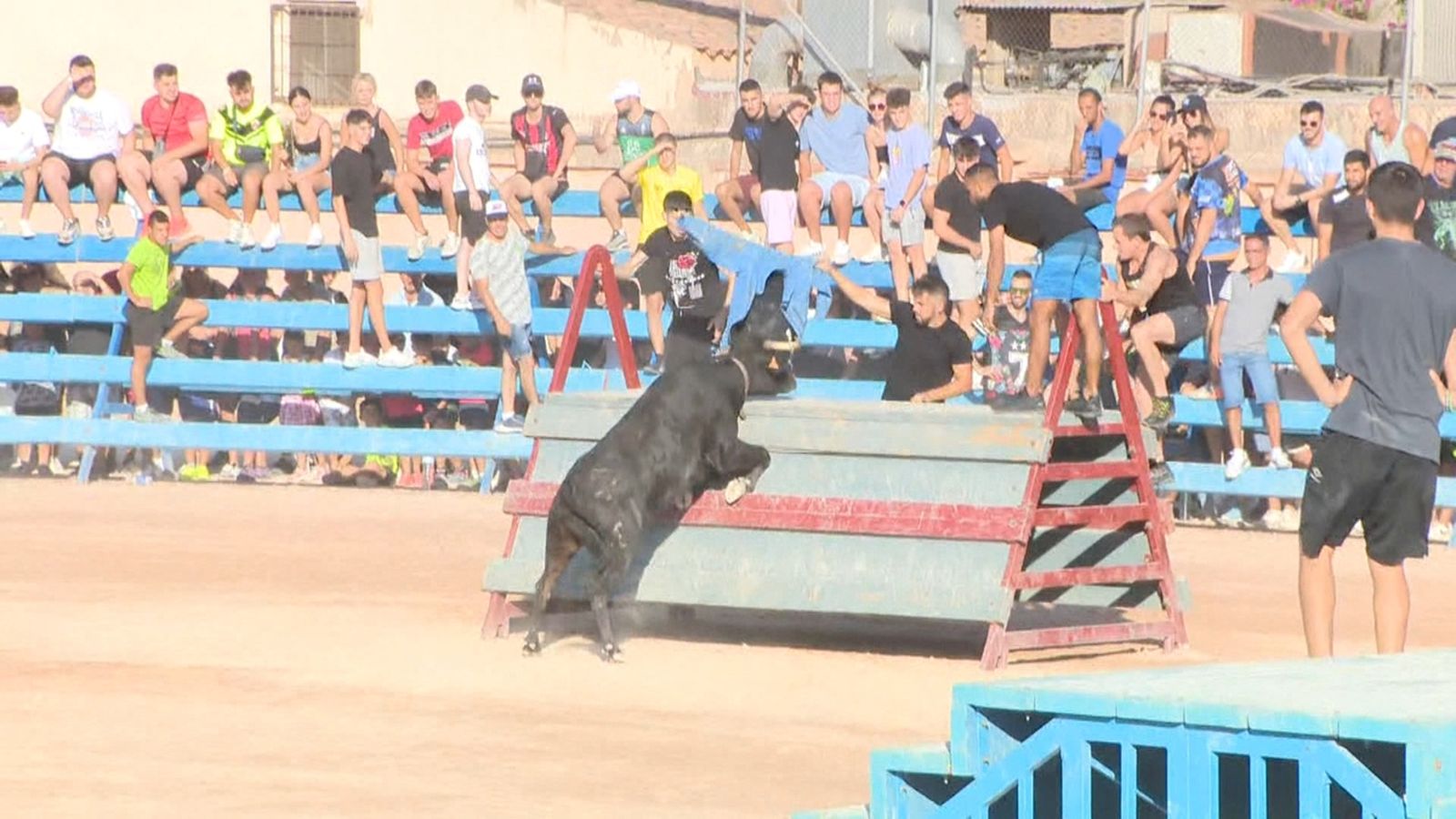 Comença la temporada de bous al carrer i les penyes fan front a la pujada de despeses