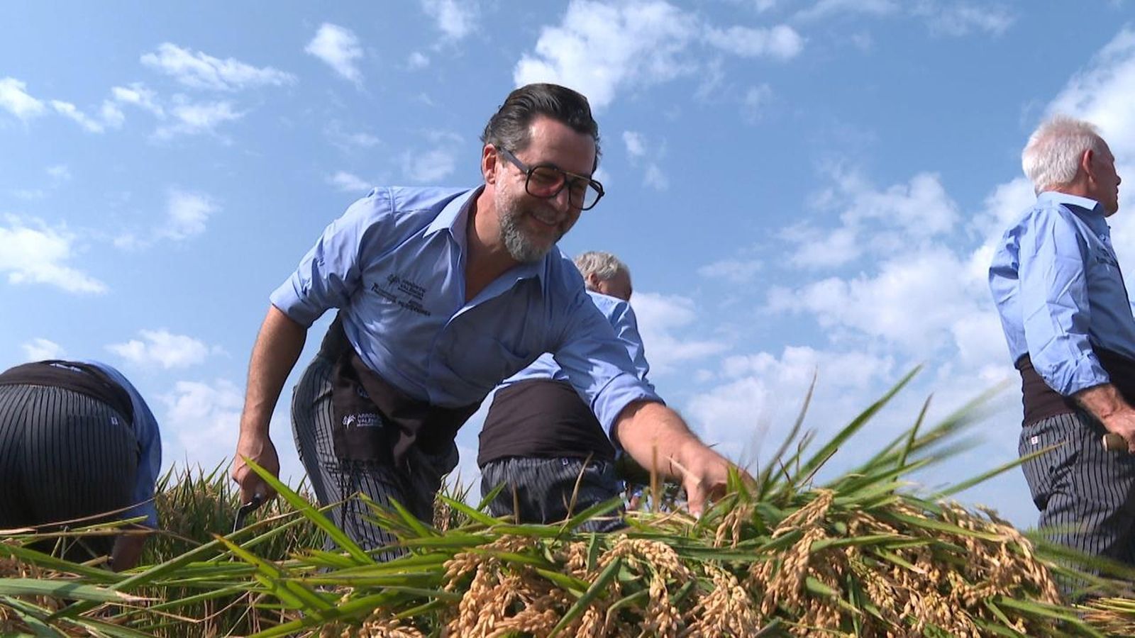 El xef Quique Dacosta participa en la sega de l'arrós