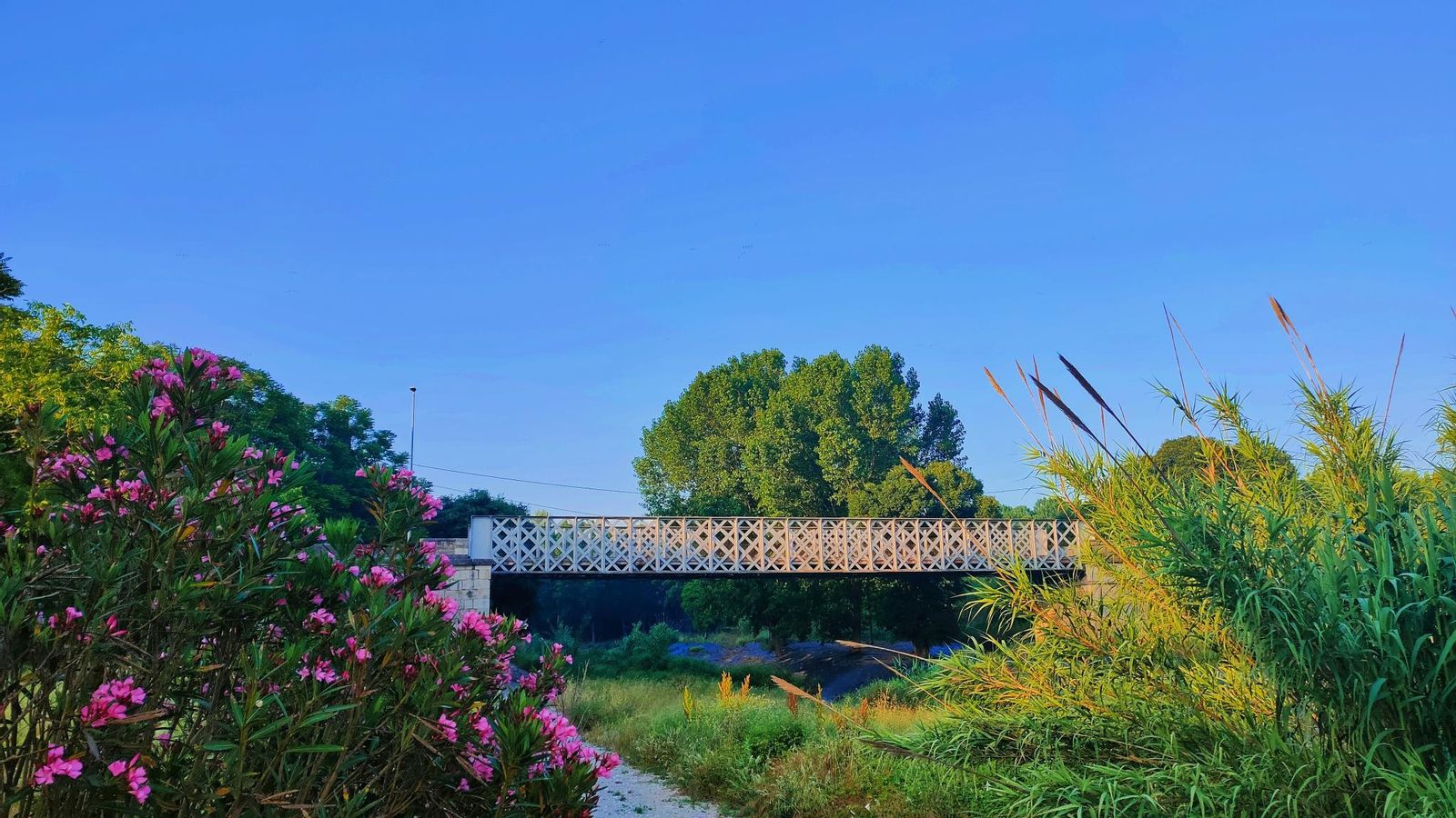 8.MONTAVERNER, LA VALL D'ALBAIDA, ENRIQUE JAVIER FERRI MILLET