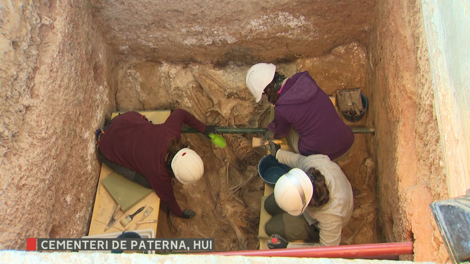 Alguns dels arqueòlegs que treballen en les excavacions de la fossa 126 del cementeri de Paterna