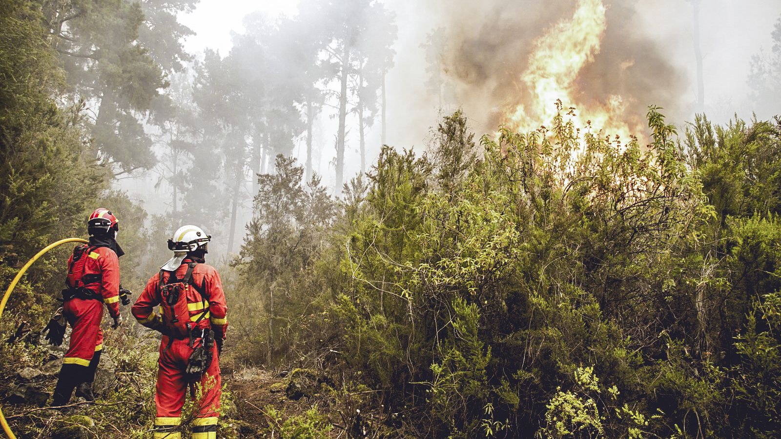 Efectius de la UME durant les tasques d'extinció de l'incendi forestal de Tenerife