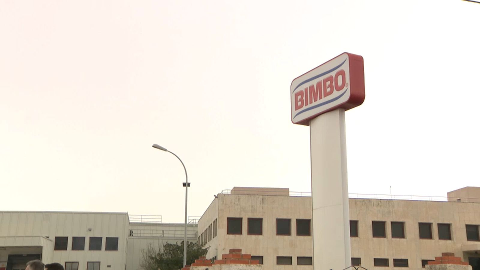 Planta de Bimbo al Verger