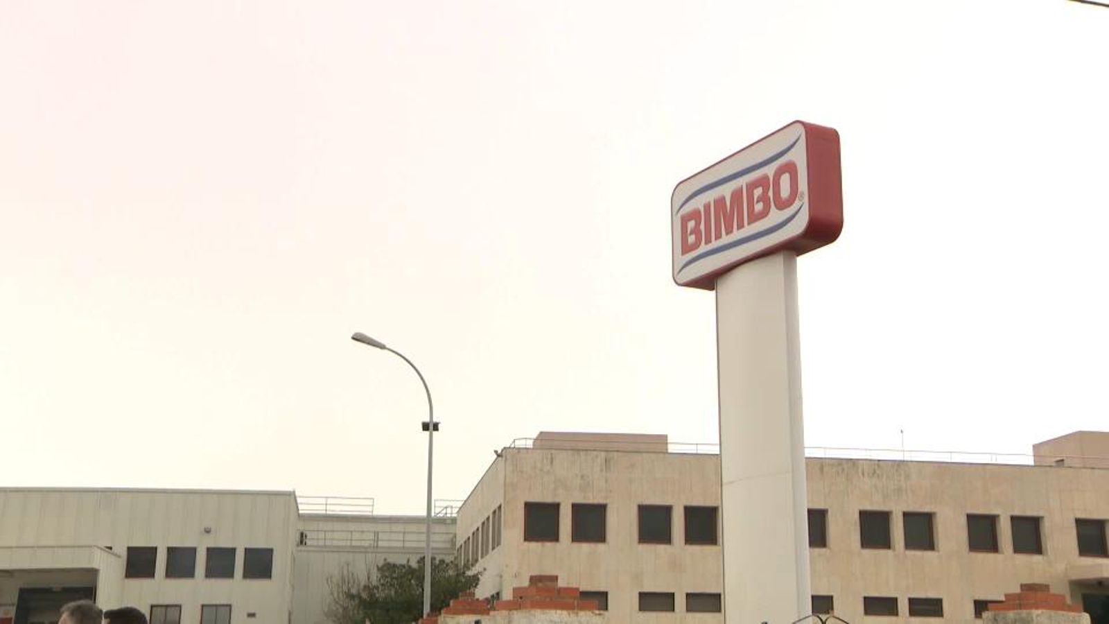 Planta de Bimbo al Verger Planta de Bimbo al Verger