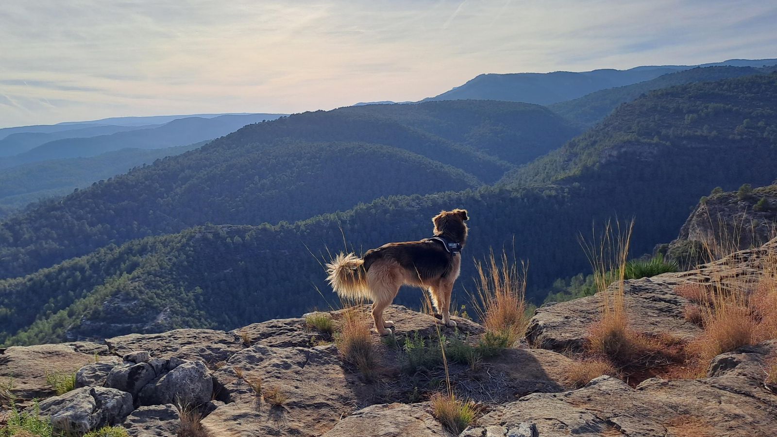 BICORB, LA CANAL DE NAVARRÉS, BIAN MOLLA